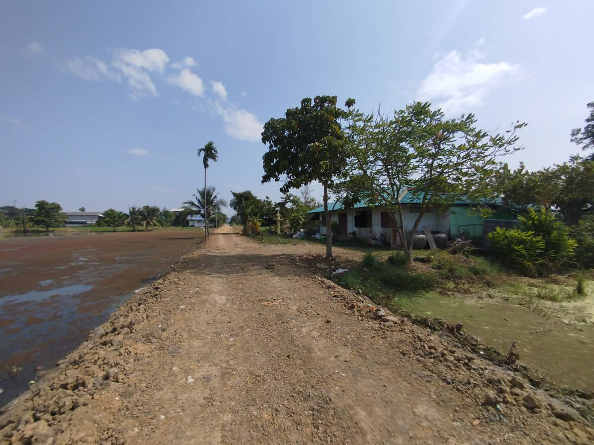 ขายที่ดินนนทบุรี บางใหญ่ บางบัวทอง : ขายที่ดินเปล่า 928 ตรว. ซอยวัดลาดปลาดุก ซอยเชื่อมต่อบัวทอง 4 นนทบุรี