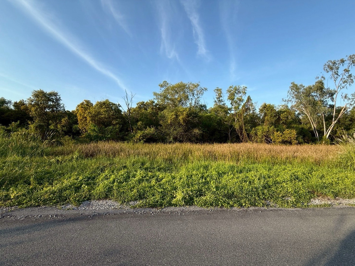 For SaleLandPathum Thani,Rangsit, Thammasat : ✨️ Land for Sale – 200 sq.w. | Klong 6 Tawan Tok 29 (Tawanna Alley)