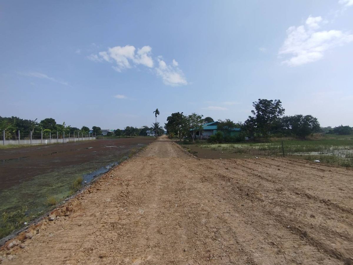 ขายที่ดินนนทบุรี บางใหญ่ บางบัวทอง : ขายที่ดินเปล่า 928 ตรว. ซอยวัดลาดปลาดุก ซอยเชื่อมต่อบัวทอง 4 นนทบุรี