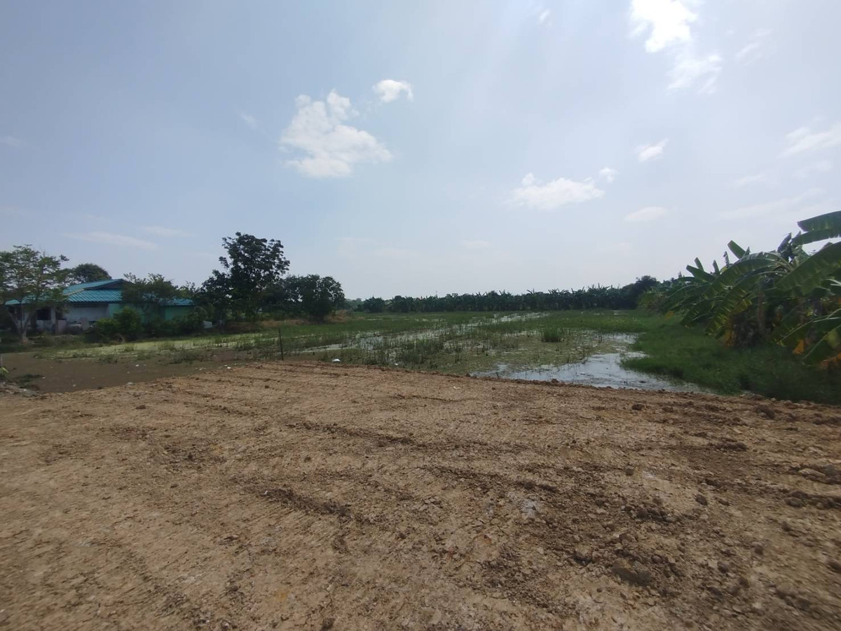 ขายที่ดินนนทบุรี บางใหญ่ บางบัวทอง : ขายที่ดินเปล่า 928 ตรว. ซอยวัดลาดปลาดุก ซอยเชื่อมต่อบัวทอง 4 นนทบุรี