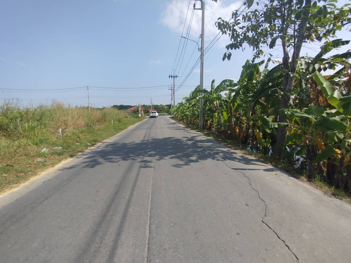 ขายที่ดินนนทบุรี บางใหญ่ บางบัวทอง : ขายที่ดินเปล่า 300 ตรว. ซอยหมู่บ้านบัวทอง4 เชื่อมต่อซอยวัดลาดปลาดุก