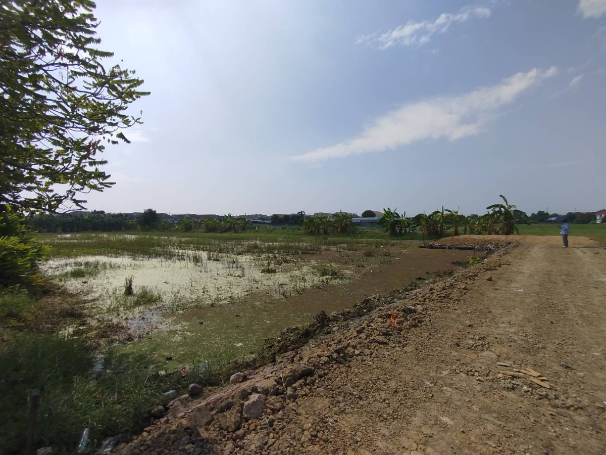 ขายที่ดินนนทบุรี บางใหญ่ บางบัวทอง : ขายที่ดินเปล่า 928 ตรว. ซอยวัดลาดปลาดุก ซอยเชื่อมต่อบัวทอง 4 นนทบุรี