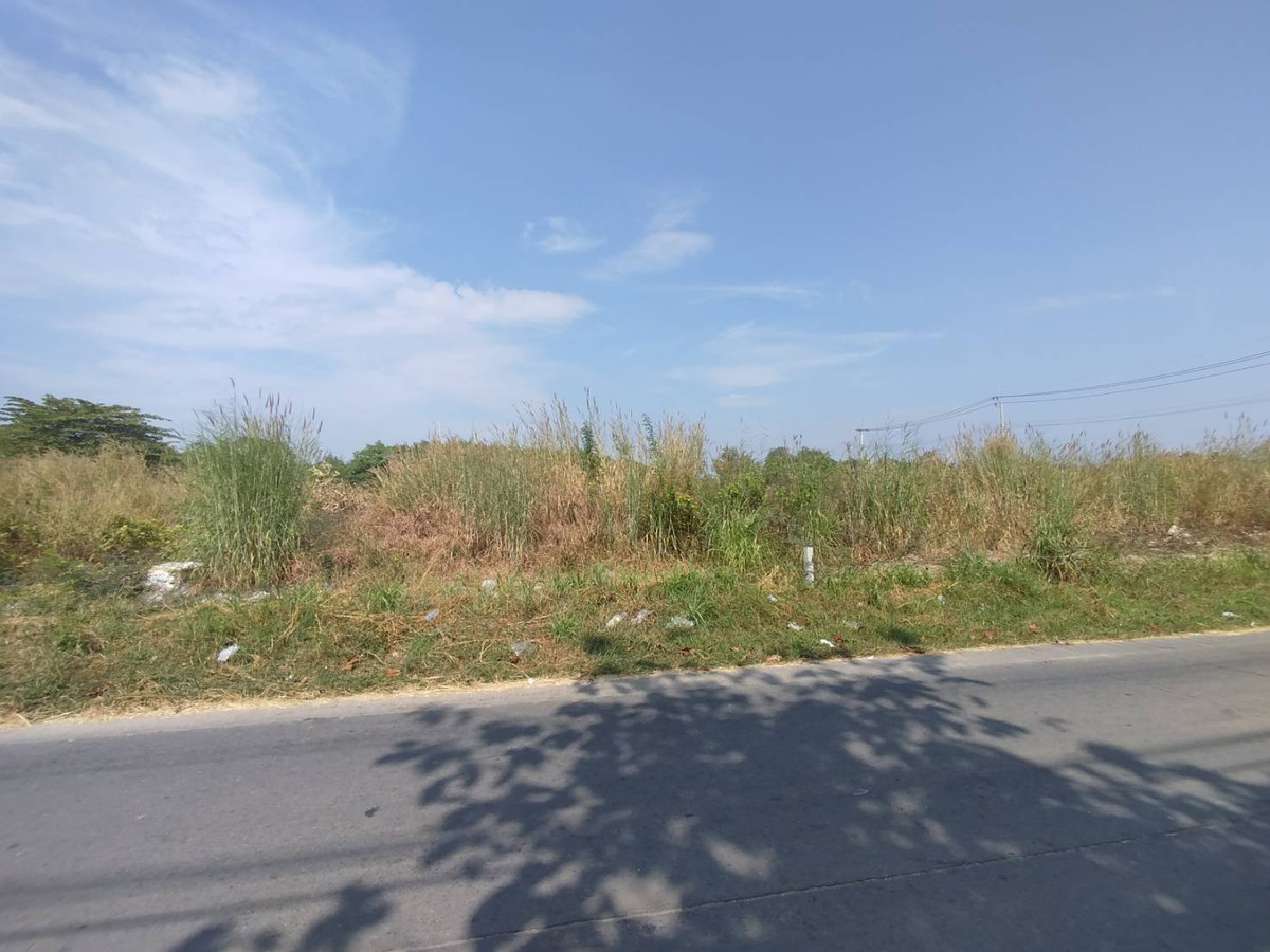 ขายที่ดินนนทบุรี บางใหญ่ บางบัวทอง : ขายที่ดินเปล่า 600 ตรว. ซอยหมู่บ้านบัวทอง4 เชื่อมต่อซอยวัดลาดปลาดุก