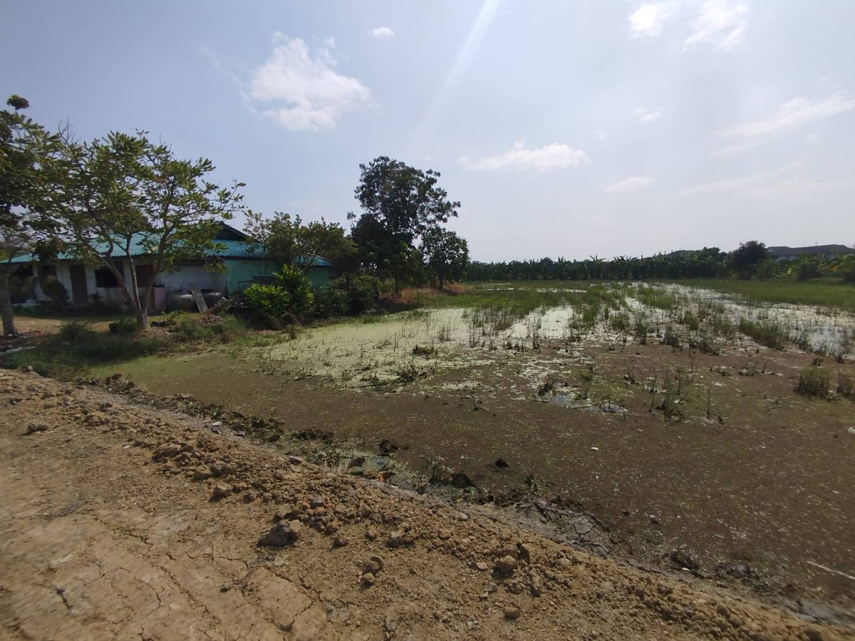 For SaleLandNonthaburi, Bang Yai, Bangbuathong : Empty land for sale, 928 sq m., Soi Wat Lat Pla Duk. Soi connecting Buathong 4, Nonthaburi