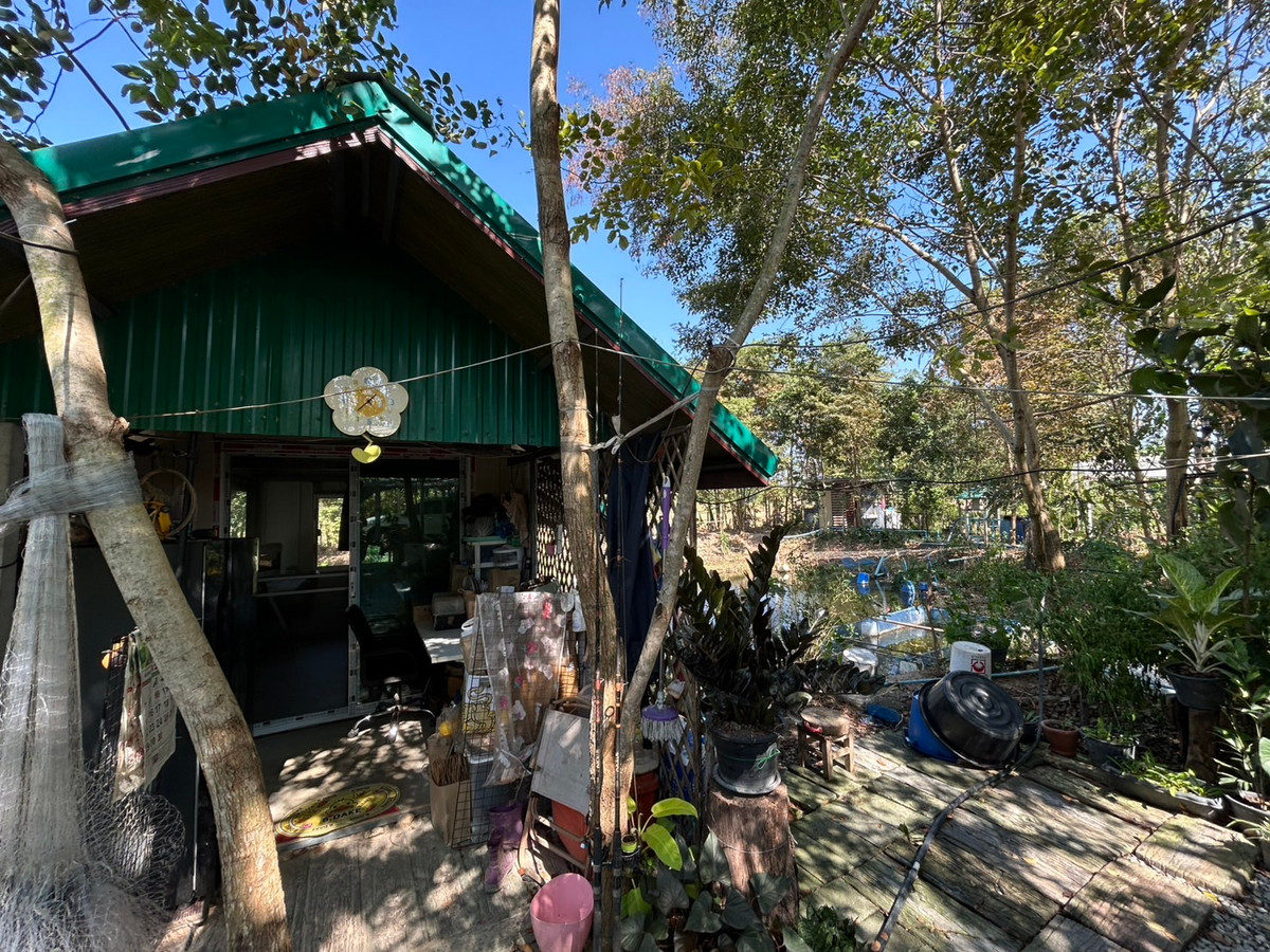 ขายที่ดินพัทยา บางแสน ชลบุรี สัตหีบ : ขายฟาร์มเกษตรอินทรีย์พร้อมใช้ ขนาด 1-1-91.6 ไร่ เหมาะสำหรับ เกษตรกรรุ่นใหม่ ที่ต้องการเริ่มต้นชีวิตที่ยั่งยืน รายได้มั่นคง ฟาร์ม ช.วีรศุ สวนเกษตรอินทรีย์ เหมาะทำ ฟาร์มสเตย์, ฟาร์มท่องเที่ยว หรือพัฒนาต่อยอดเชิงเกษตรครบวงจร พร้อมระบบสาธารณูปโภคครบ 