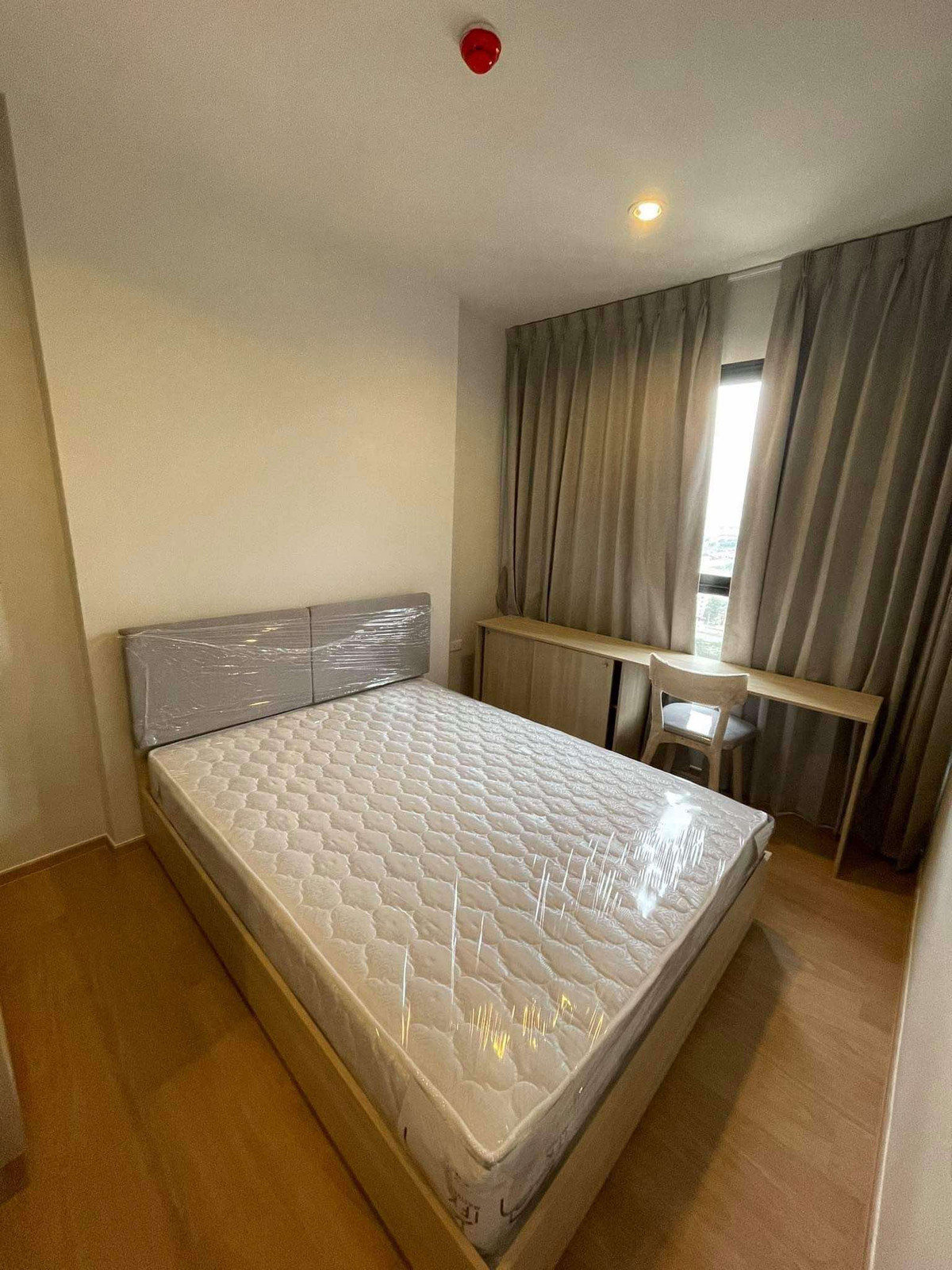 For RentCondoPathum Thani,Rangsit, Thammasat : Condo for rent at Common TU near Thammasat University