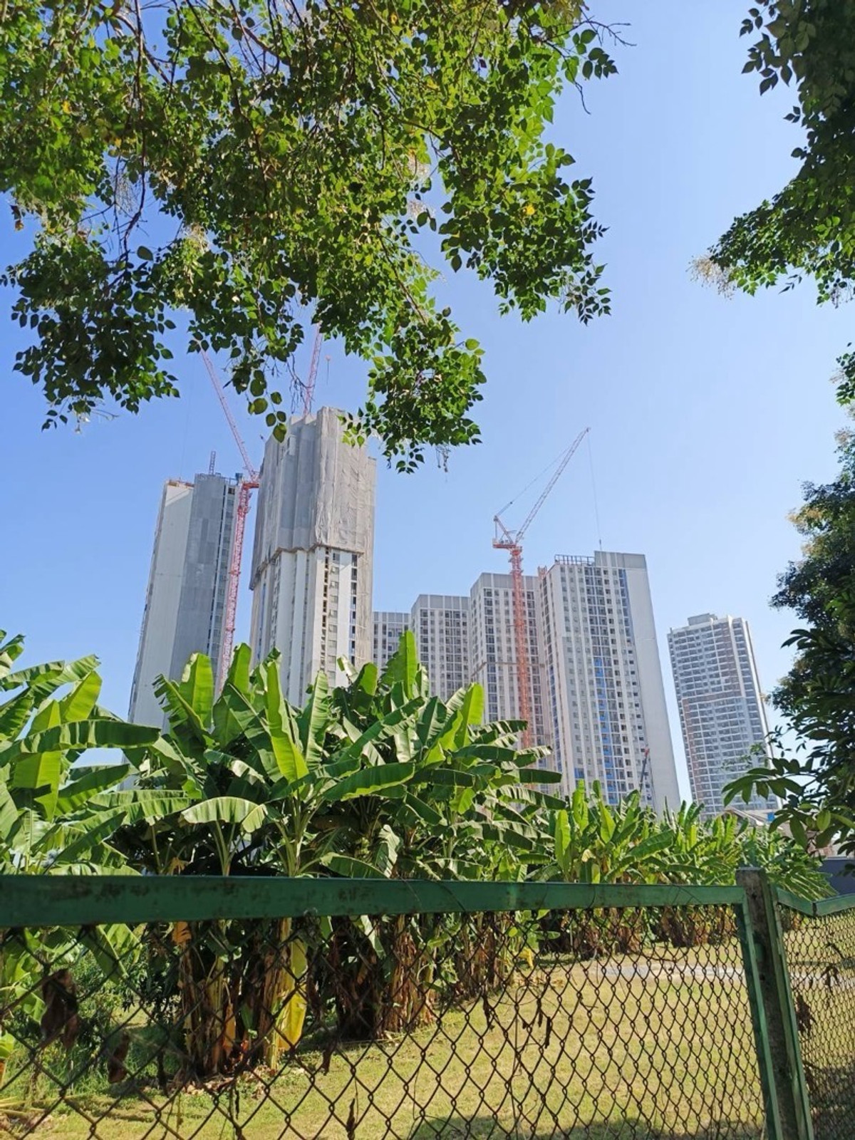 For SaleCondoRama9, Petchburi, RCA : Selling down payment COBE Ratchada - Rama 9 of SC ASSET. B Building Chun 6