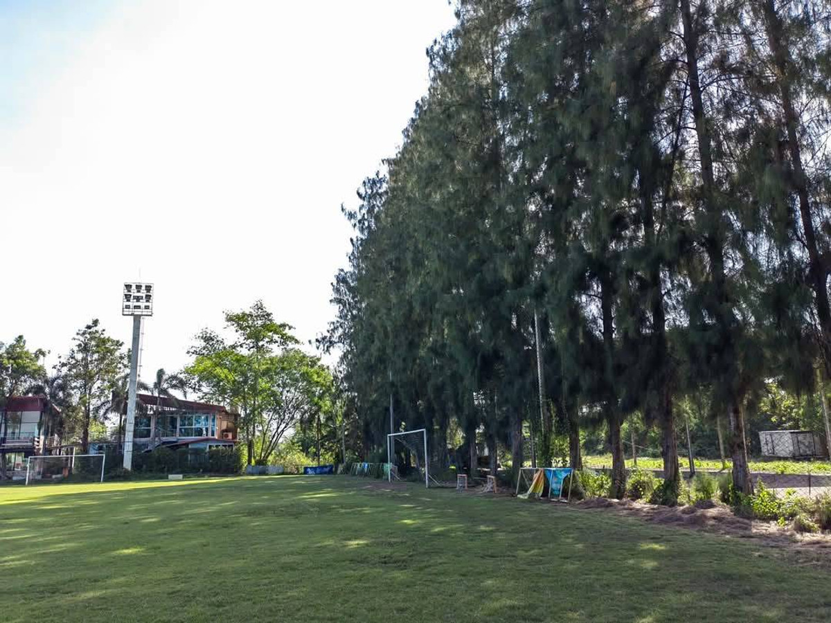 ขายที่ดินศรีราชา แหลมฉบัง บ้านบึง : ที่ดิน 9 ไร่ 2 งาน 76 ตารางวา บางละมุง ชลบุรี (ขาย), Land 9 Rai 2 Ngan 76 Square Wa Bang Lamung Chonburi (FOR SALE) YEAN061