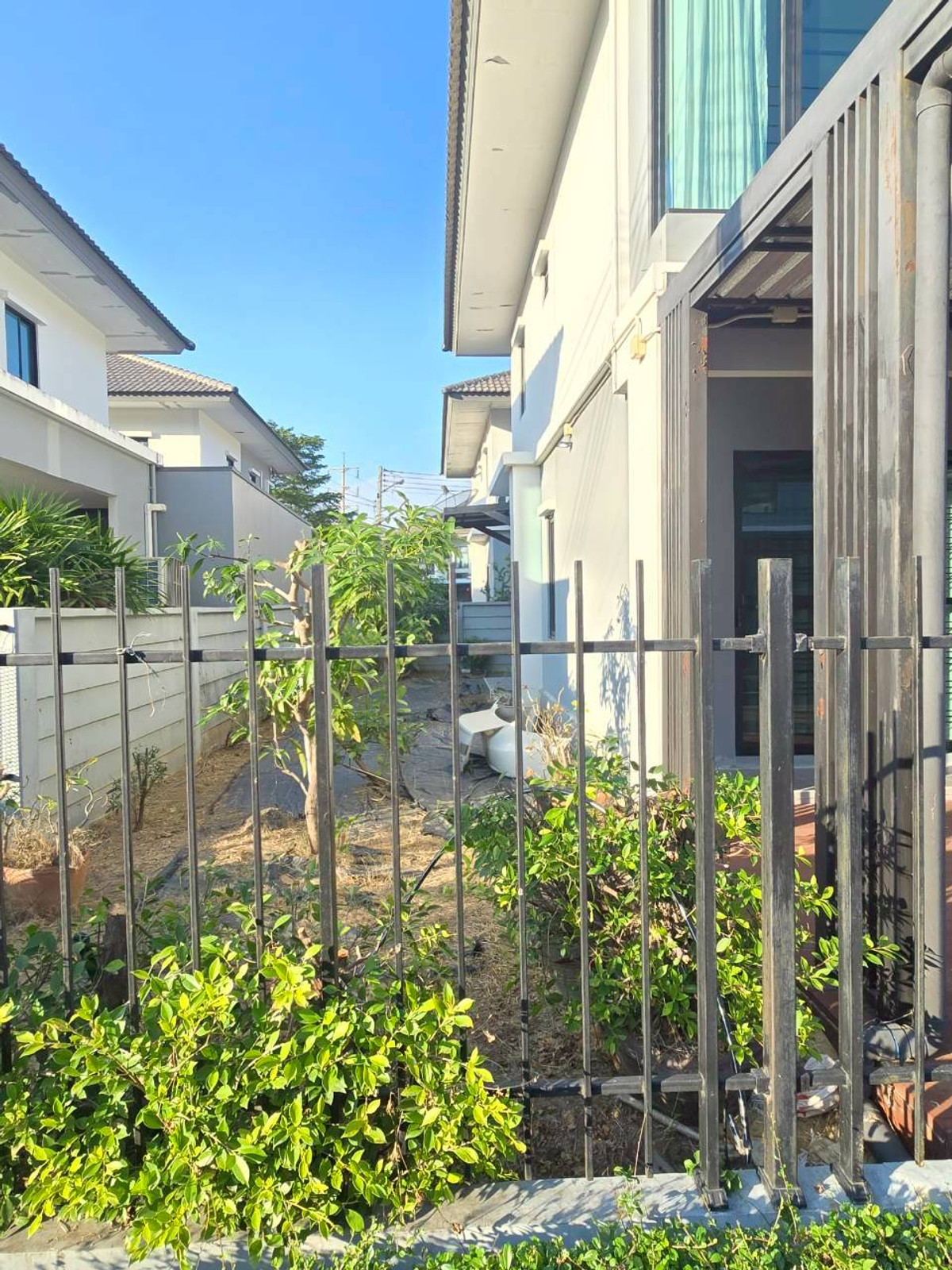 For SaleHousePathum Thani,Rangsit, Thammasat : Single house for sale, Delight Village, Don Mueang - Rangsit.