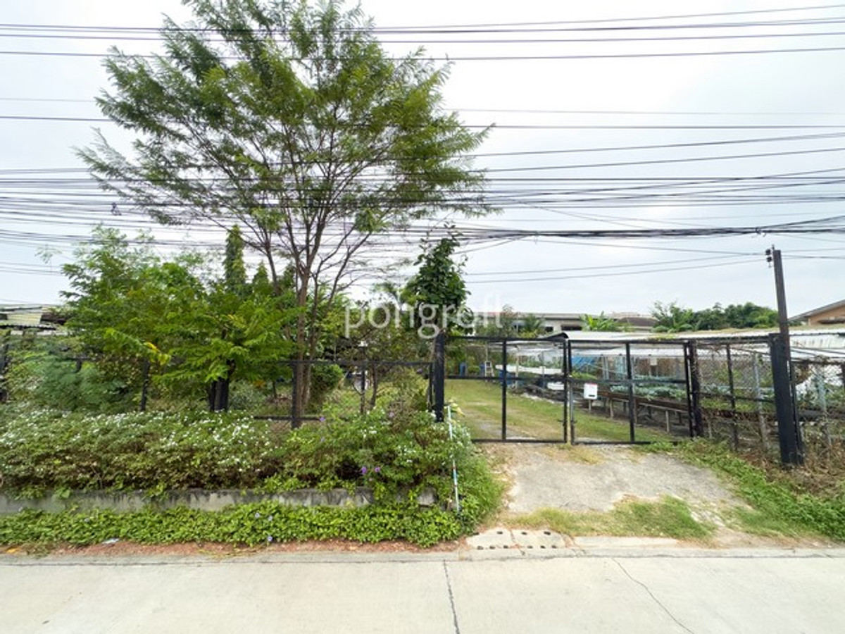 ขายที่ดินนวมินทร์ รามอินทรา : ที่ดิน 198 ตรว. ถมแล้วแปลงสวย รามอินทรา–สุขาภิบาล 5 เข้า–ออกได้หลายเส้นทาง