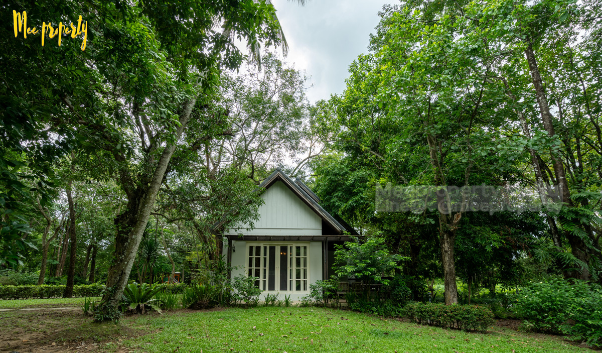 ขายที่ดินสระบุรี : 🌿 #ขายที่ดินพร้อมสิ่งปลูกสร้าง พื้นที่: 13 ไร่ 1 งาน 26 ตร.ว.  ติดลำธาร วิวภูเขา ธรรมชาติสุดๆ ทำเลดีมาก! 🌿 💥 ที่ดินและสิ่งปลูกสร้างพร้อมวิวสวย ที่แก่งคอย ชะอมสระบุรี ME-222