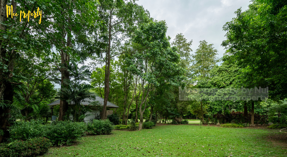 ขายที่ดินสระบุรี : 🌿 #ขายที่ดินพร้อมสิ่งปลูกสร้าง พื้นที่: 13 ไร่ 1 งาน 26 ตร.ว.  ติดลำธาร วิวภูเขา ธรรมชาติสุดๆ ทำเลดีมาก! 🌿 💥 ที่ดินและสิ่งปลูกสร้างพร้อมวิวสวย ที่แก่งคอย ชะอมสระบุรี ME-222