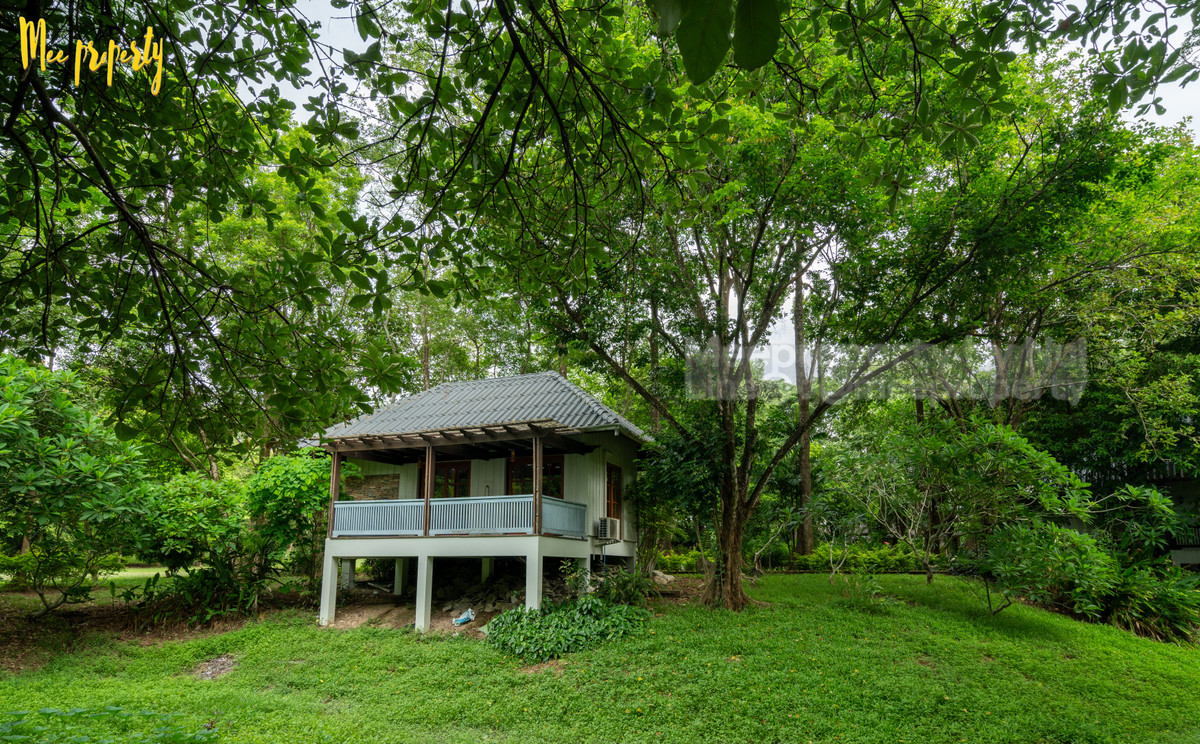 ขายที่ดินสระบุรี : 🌿 #ขายที่ดินพร้อมสิ่งปลูกสร้าง พื้นที่: 13 ไร่ 1 งาน 26 ตร.ว.  ติดลำธาร วิวภูเขา ธรรมชาติสุดๆ ทำเลดีมาก! 🌿 💥 ที่ดินและสิ่งปลูกสร้างพร้อมวิวสวย ที่แก่งคอย ชะอมสระบุรี ME-222