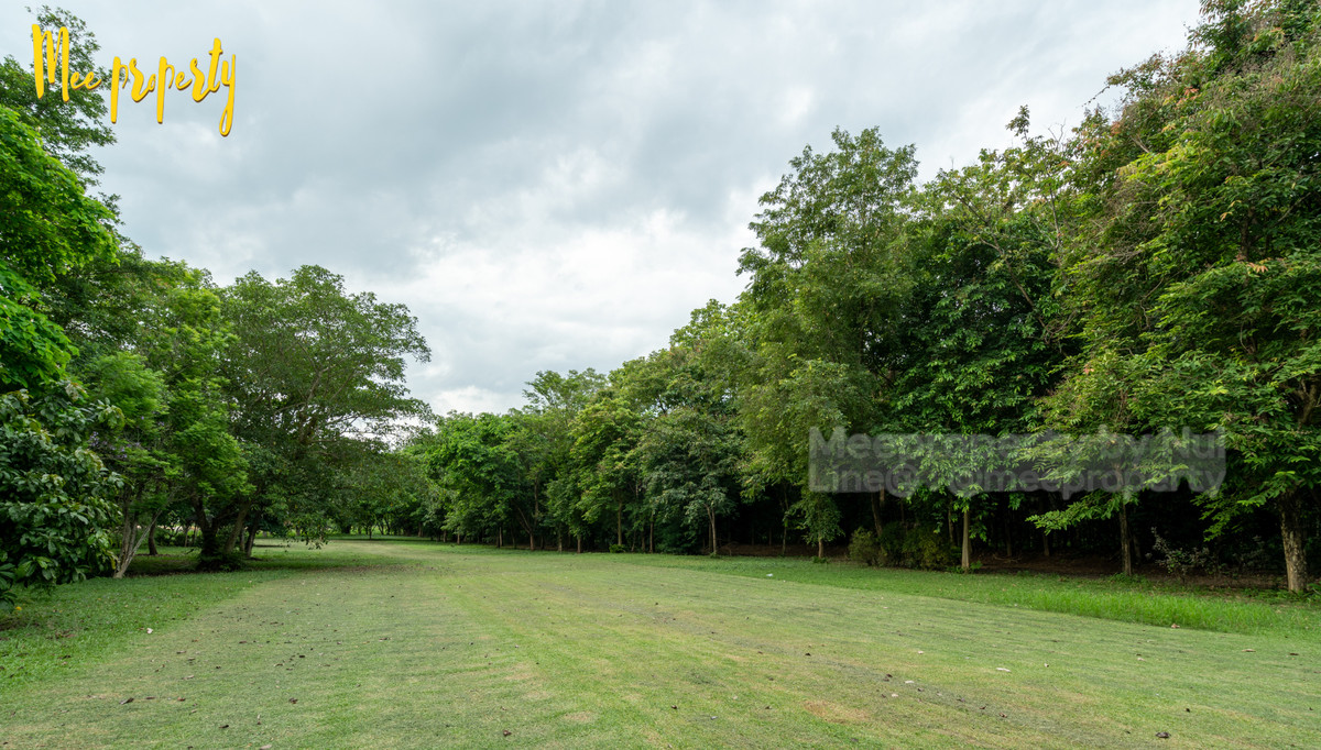 ขายที่ดินสระบุรี : 🌿 #ขายที่ดินพร้อมสิ่งปลูกสร้าง พื้นที่: 13 ไร่ 1 งาน 26 ตร.ว.  ติดลำธาร วิวภูเขา ธรรมชาติสุดๆ ทำเลดีมาก! 🌿 💥 ที่ดินและสิ่งปลูกสร้างพร้อมวิวสวย ที่แก่งคอย ชะอมสระบุรี ME-222