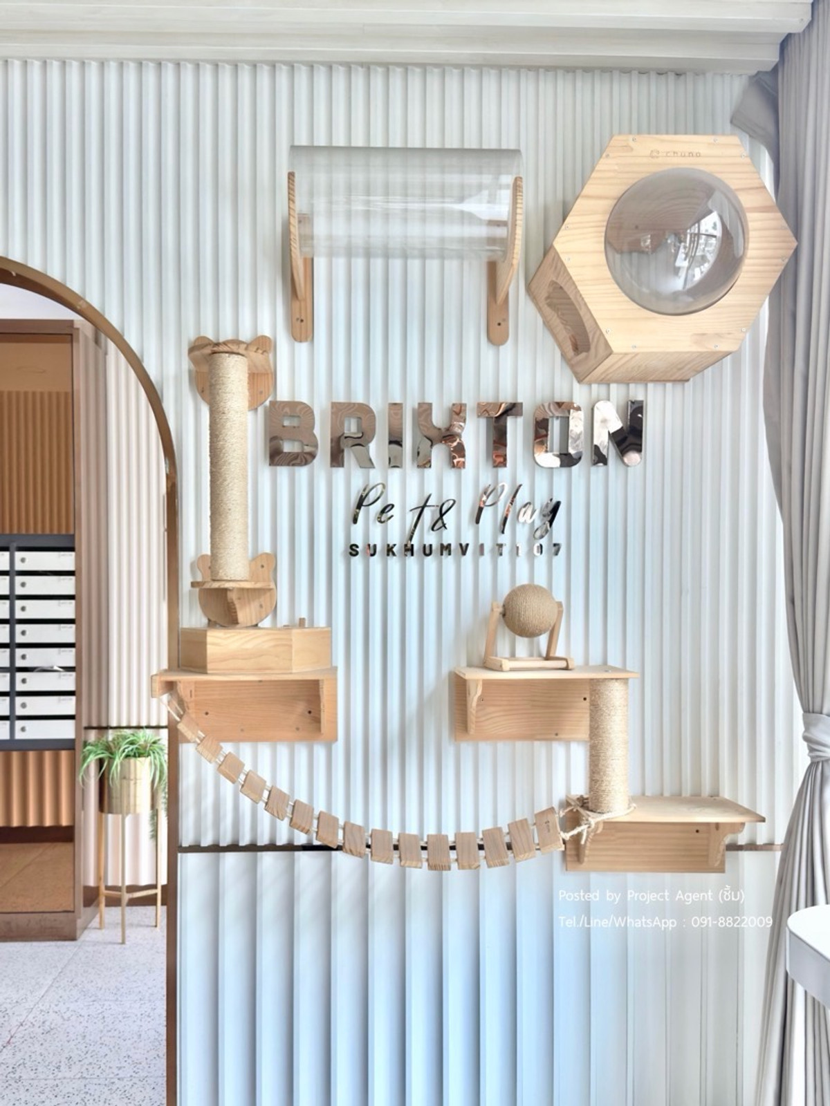 For RentCondoBangna, Bearing, Lasalle : 🐶𝐁𝐑𝐈𝐗𝐓𝐎𝐍 𝐏𝐞𝐭 & 𝐏𝐥𝐚𝐲 𝐒𝐮𝐤𝐡𝐮𝐦𝐯𝐢𝐭 𝟏𝟎𝟕🐕‍🦺𝐏𝐞𝐭 𝐅𝐫𝐢𝐞𝐧𝐝𝐥𝐲 