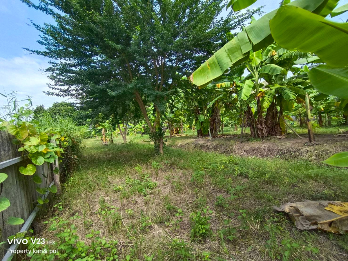 For SaleLandPhutthamonthon, Salaya : Land for sale, next to Khlong Bang Ramat Sai 2, area 1-3-19.4 rai (719.4 sq m.), Phutthamonthon Sai 2, Soi 21