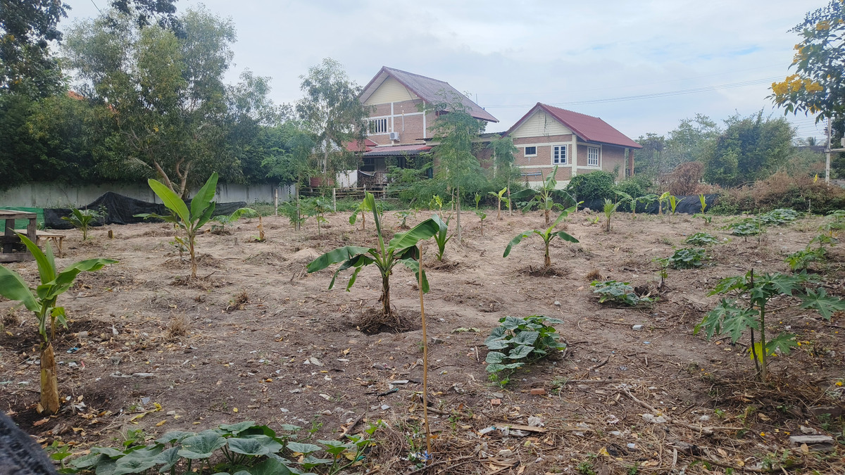 For SaleLandCha-am Phetchaburi : Cheap small plots of land for sale at Haad Suk Samoe, Cha-am.