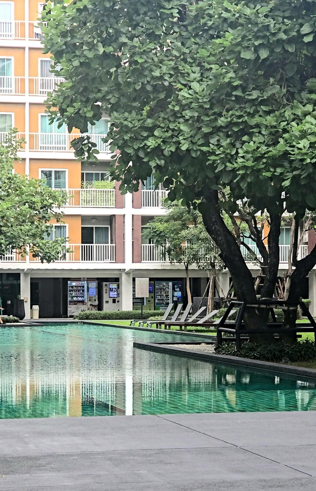 For RentCondoYothinpattana,CDC : (Rent 7,500/mo)🏊‍♀️ Big swimming pool, satisfying! Great fitness! Condo ready to move in 🛒Next to the Ramindra flea market.