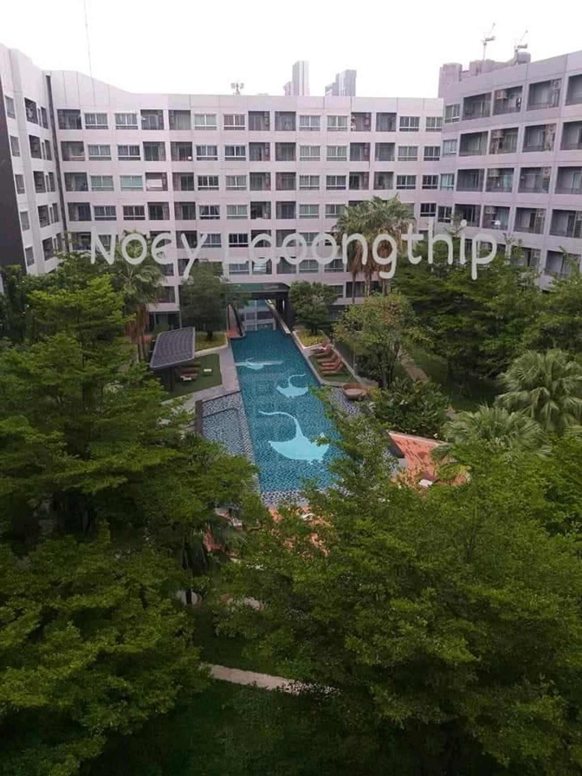 ขายคอนโดอ่อนนุช อุดมสุข : ขาย 25ตรม.ห้องสวยตรงปก ราคาดี ไม่ต้องได้ตกแต่งเพิ่ม พร้อมเข้าอยู่