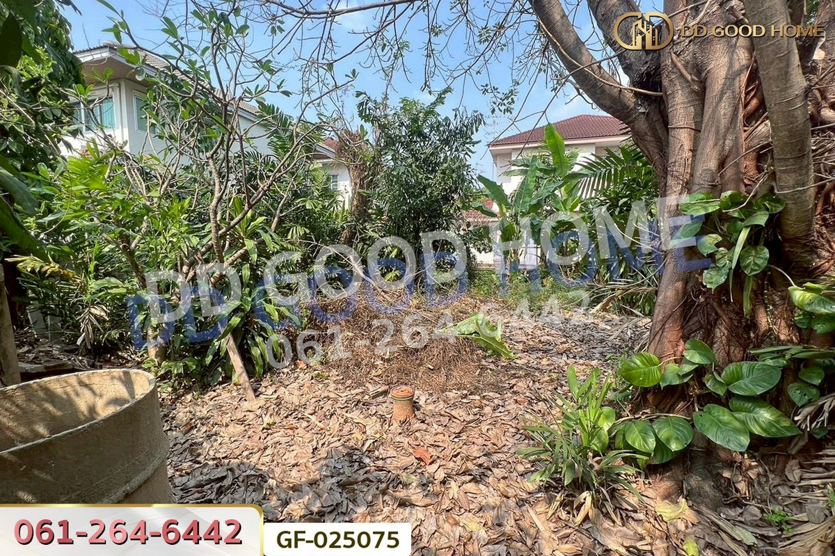 ขายที่ดินนนทบุรี บางใหญ่ บางบัวทอง : GF-025075 ที่ดินโครงการชลลดา บางบัวทอง 206 ตร.ว. นนทบุรี ใกล้เซ็นทรัลเวสต์เกต