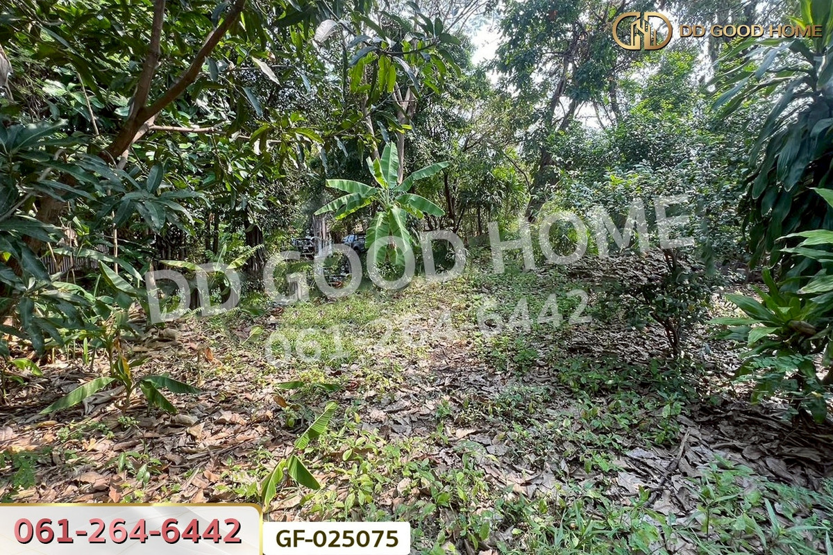 ขายที่ดินนนทบุรี บางใหญ่ บางบัวทอง : GF-025075 ที่ดินโครงการชลลดา บางบัวทอง 206 ตร.ว. นนทบุรี ใกล้เซ็นทรัลเวสต์เกต