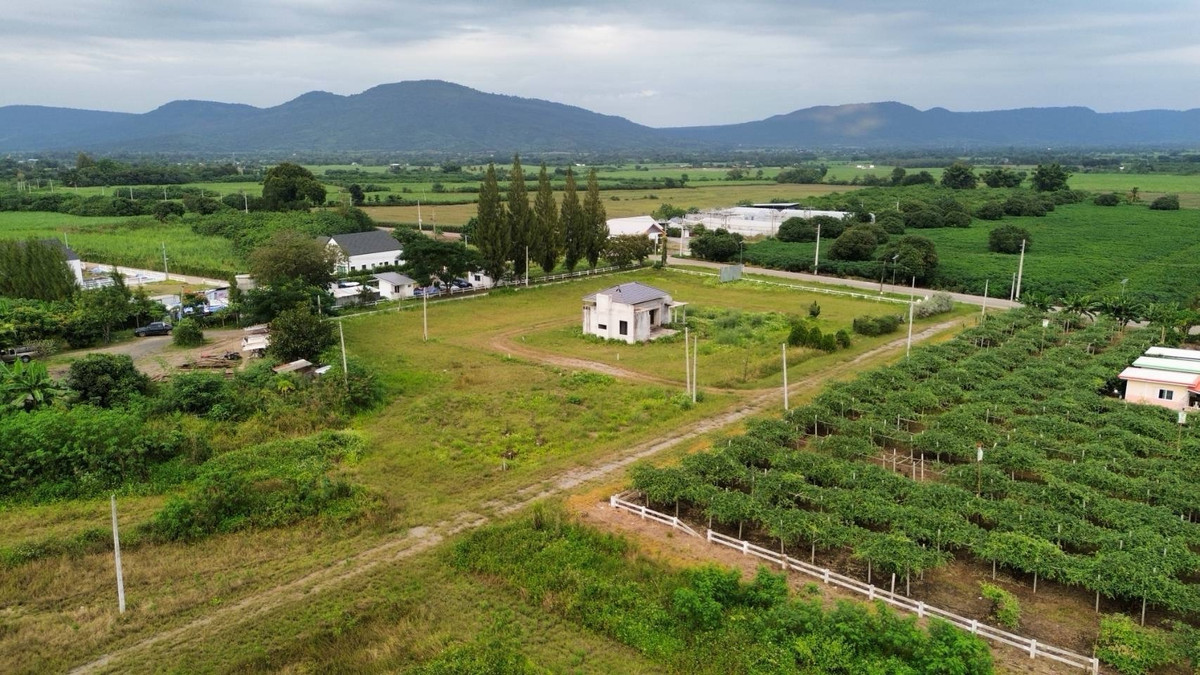 ขายที่ดินปากช่อง เขาใหญ่ : 🎯 ปักหมุดด่วน! "แปลงเล็ก" Rare Item โซนวังไทร-เขาใหญ่ ผ่อนตรง ยาว10งวด!ฟรีดอกเบี้ย