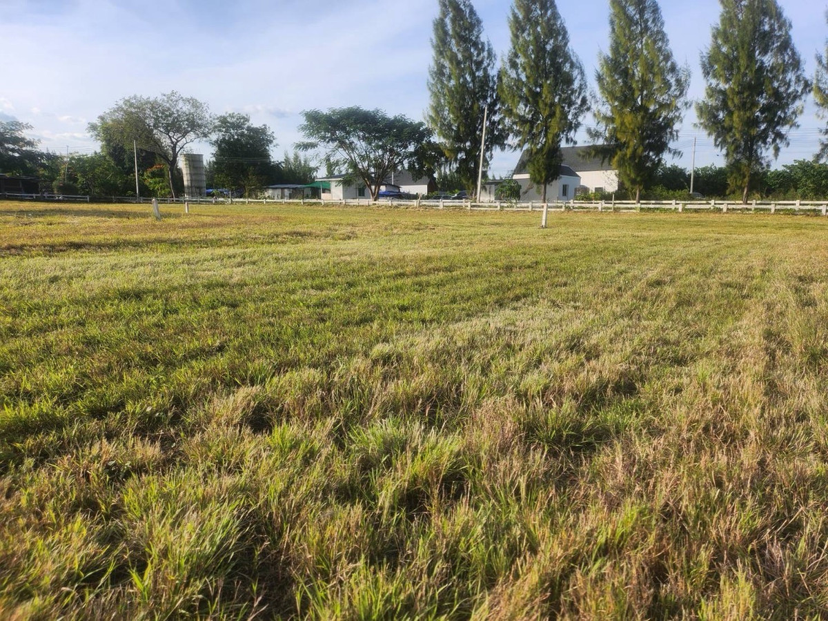 ขายที่ดินปากช่อง เขาใหญ่ : 🎯 ปักหมุดด่วน! “แปลงเล็ก“ Rare Item โซนวังไทร-เขาใหญ่ ผ่อนตรง ยาว10งวด!ฟรีดอกเบี้ย