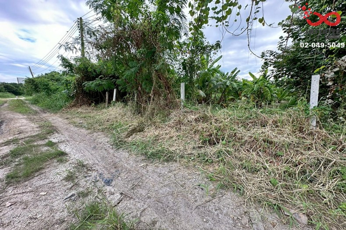 For SaleLandKaset Nawamin,Ladplakao : Land for sale 98 sq m Prasertmanukit 21 (Kaset-Nawamin) near the expressway