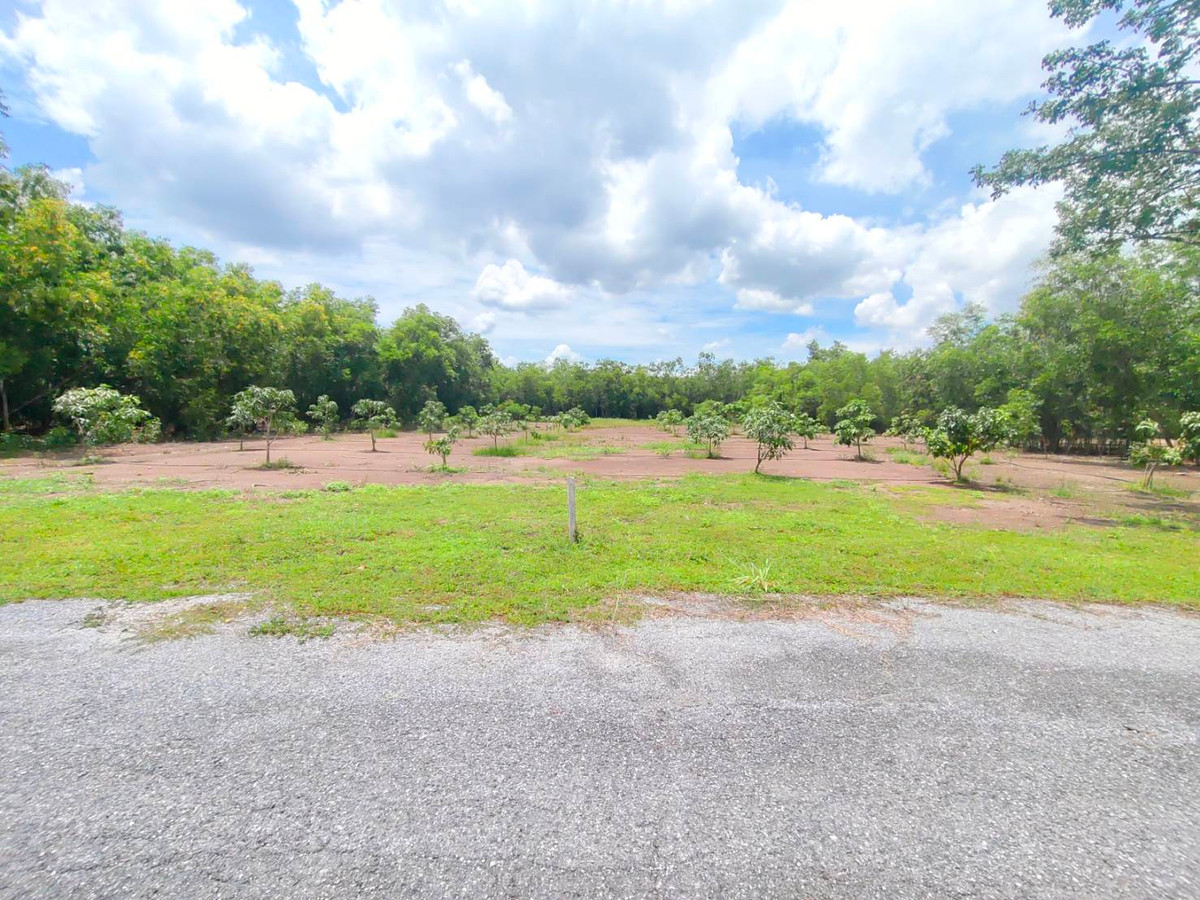 For SaleLandPathum Thani,Rangsit, Thammasat : Beautiful plot of land for sale, 2 rai 6 sq m, Country Garden project, near Wat Phra Dhammakaya, only 3 km.