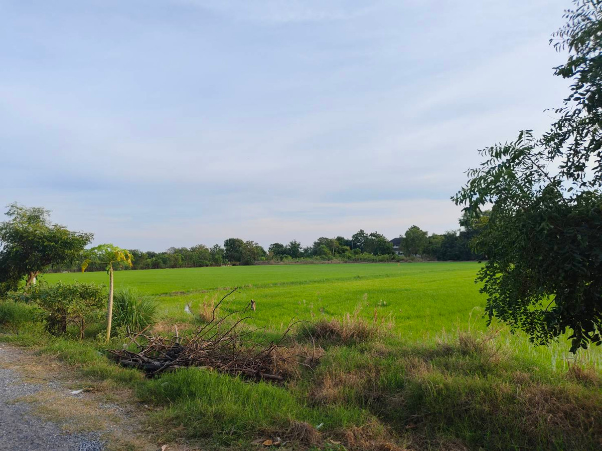 ขายที่ดินปทุมธานี รังสิต ธรรมศาสตร์ : ขาย ที่ดินแปลงสวย ทำเลดี ใกล้ถนน 346 เพียง 2.7 กม. บนถ.เทศบาล 4  -  เนื้อที่ 12 ไร่ 3 งาน 87.7 วา2