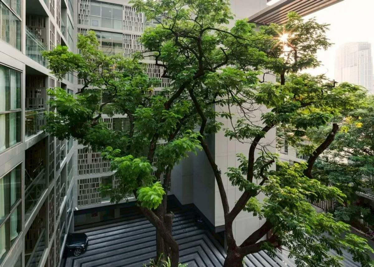 For RentCondoSukhumvit, Asoke, Thonglor : ✨ Via Botani, second home in the heart of the city, good life surrounded by nature 💕