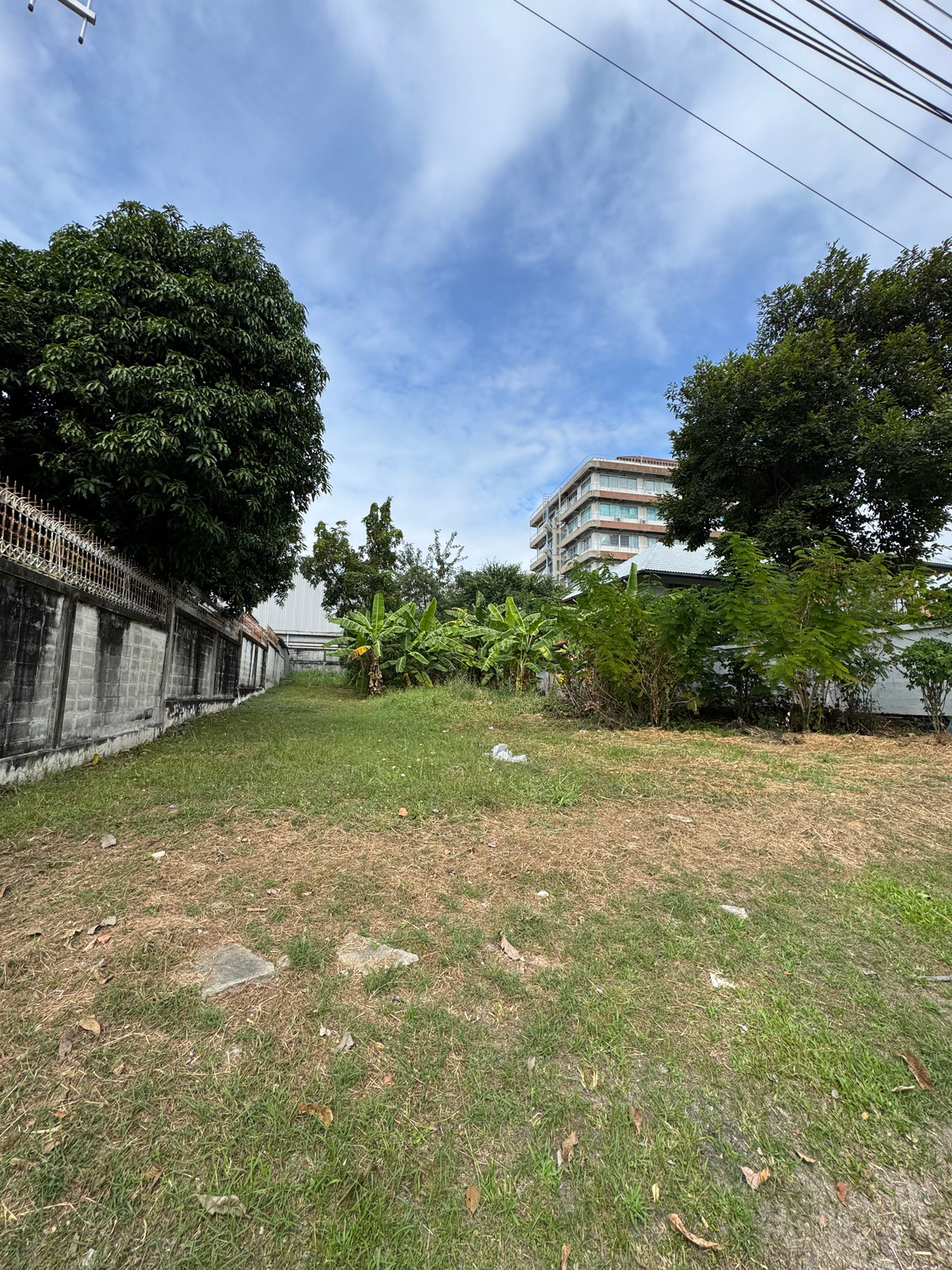ขายที่ดินปทุมธานี รังสิต ธรรมศาสตร์ : 🌳 ขายที่ดินแปลงสวย เมืองเอก โครงการ 4 พร้อมพัฒนาทันที โอกาสดีสำหรับคนหาที่ดินสร้างบ้าน หรือเก็บลงทุนระยะยาว