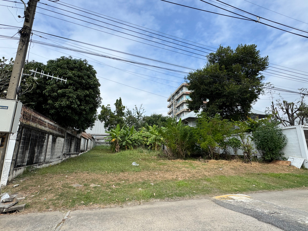 For SaleLandPathum Thani,Rangsit, Thammasat : 🌳 Beautiful plot of land for sale, Muang Ake, Project 4, ready for immediate development. Good opportunity for people looking for land to build a house. or keep long-term investments