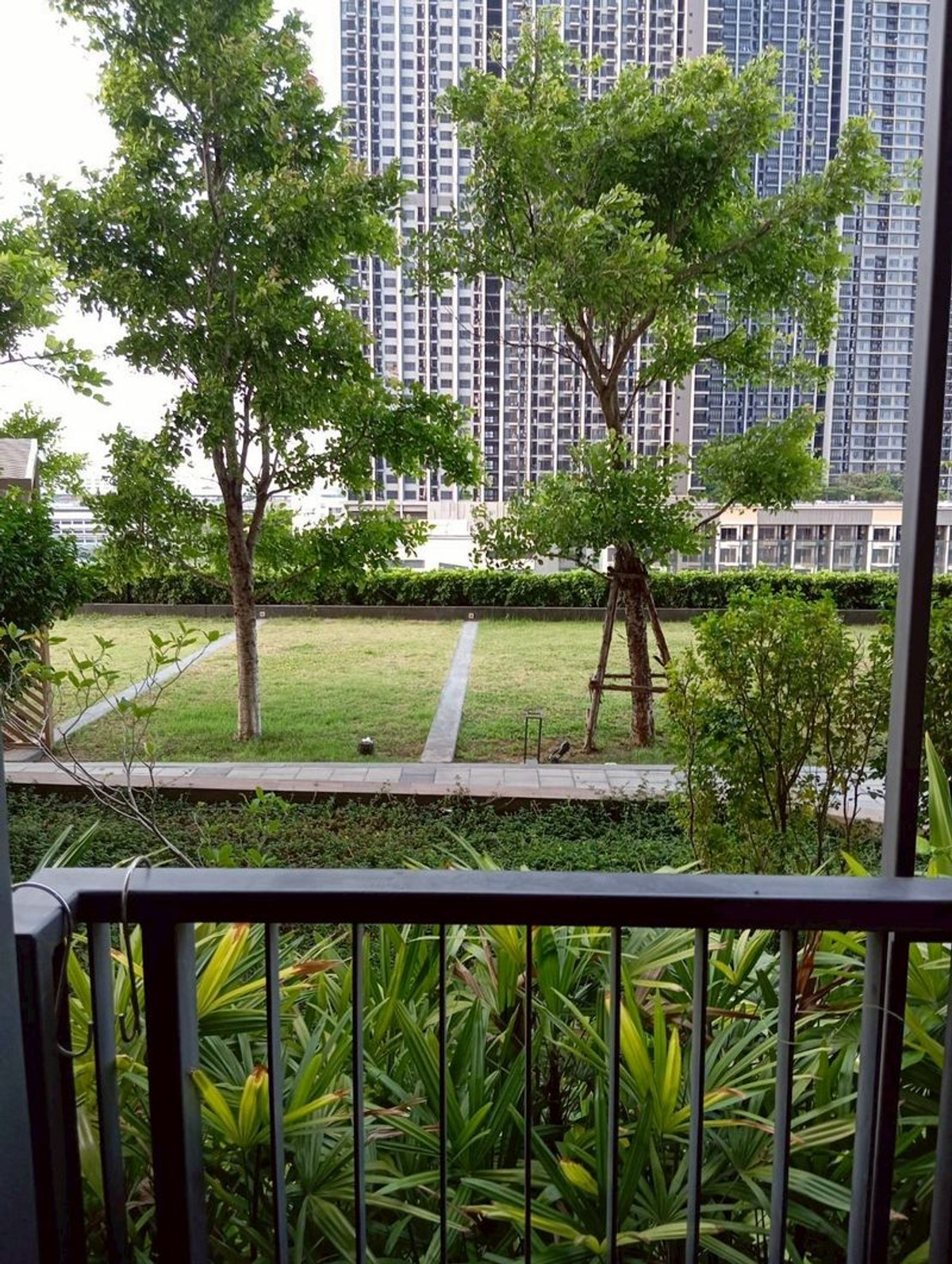 For RentCondoRattanathibet, Sanambinna : For Rent The Politan Aqua Unit 36/1499