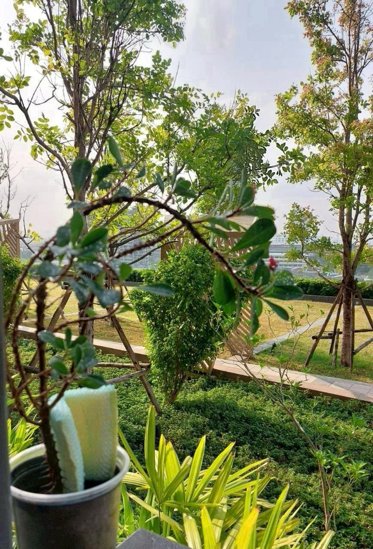 For RentCondoRattanathibet, Sanambinna : For Rent The Politan Aqua Unit 36/1499