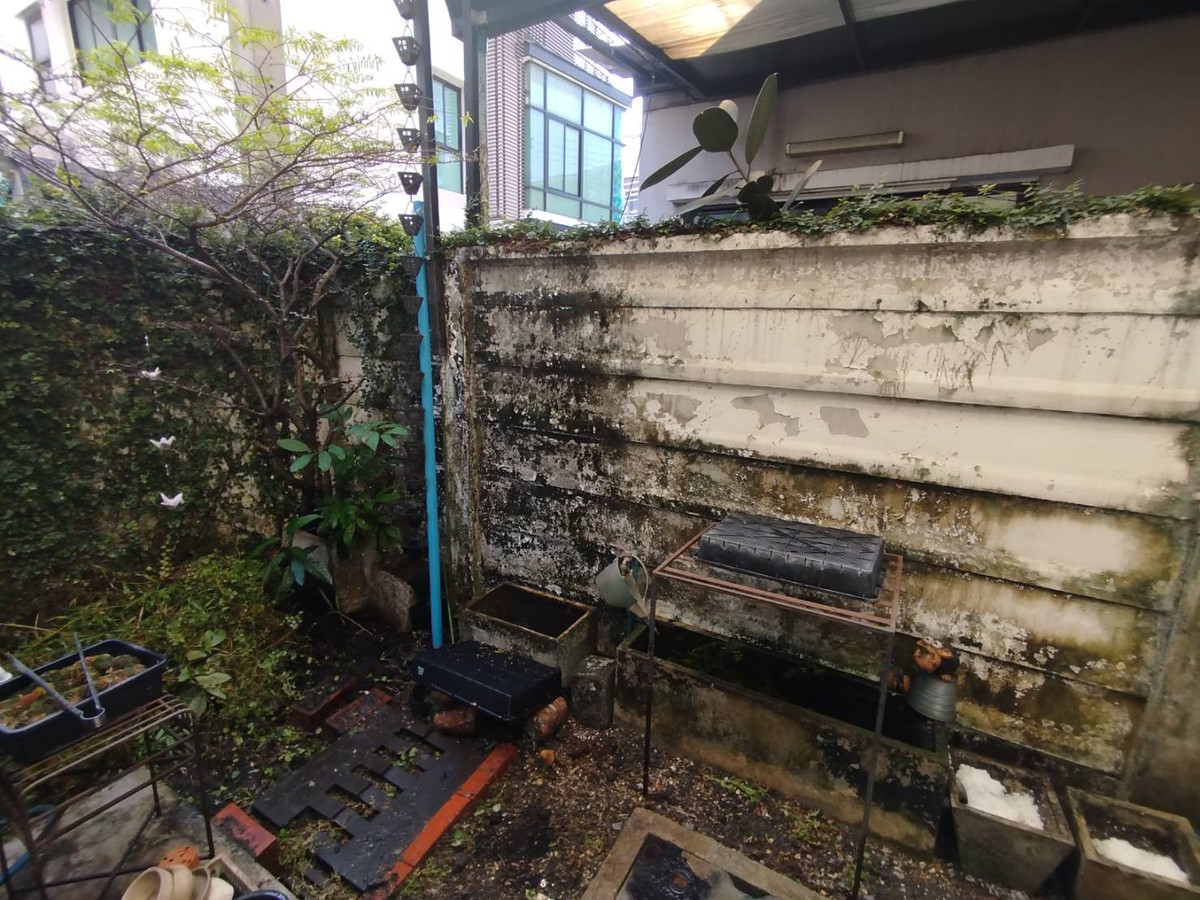 ขายทาวน์โฮมบางซื่อ วงศ์สว่าง เตาปูน : ขายทาวน์เฮ้าส์ 3 ชั้น หมู่บ้านทาวน์พลัสเอ็กซ์ ประชาชื่น 24 ตรว.