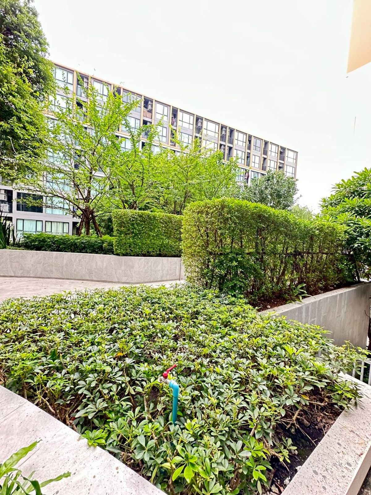 ขายคอนโดบางนา แบริ่ง ลาซาล :  Atmoz Tropicana Bangna  1.69 ล้านบาท **  แต่งครบ หิ้วกระเป๋าเข้าอยู่ได้เลย  