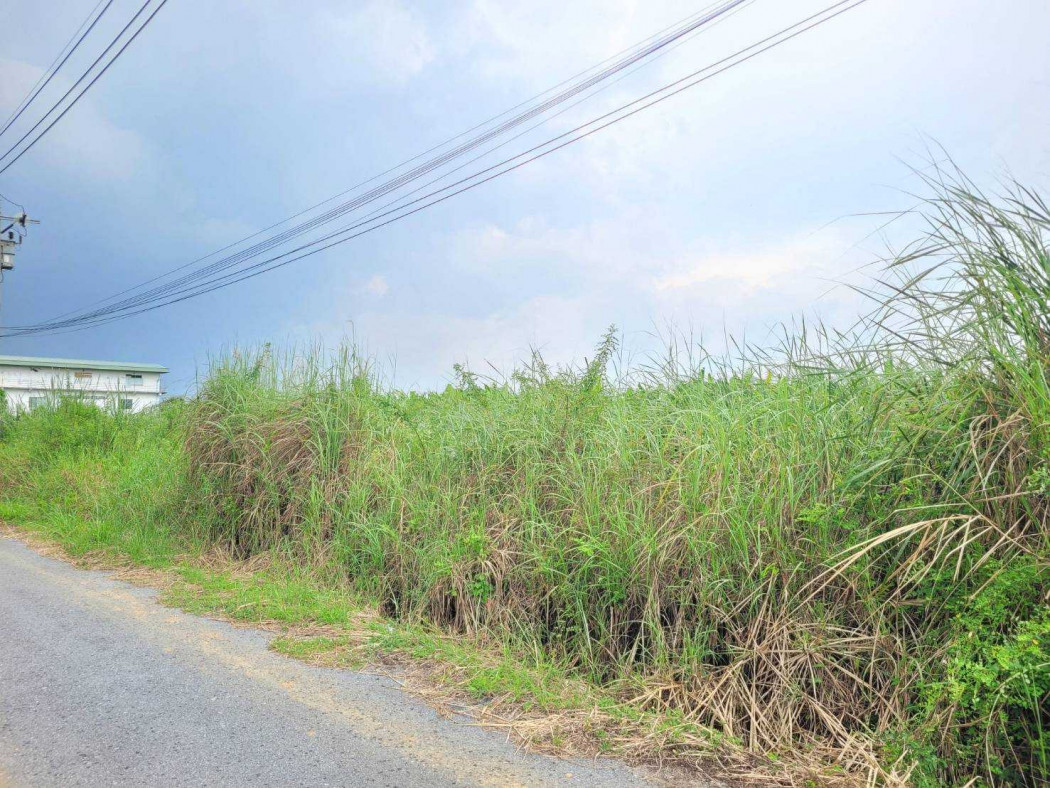 ขายที่ดินลาดกระบัง สุวรรณภูมิ : ขาย ที่ดิน ซอยร่มเกล้า​ 52-2-2 1 ไร่ 4 งาน 74 ตรว ใกล้สนามบินสุวรรณภูมิ