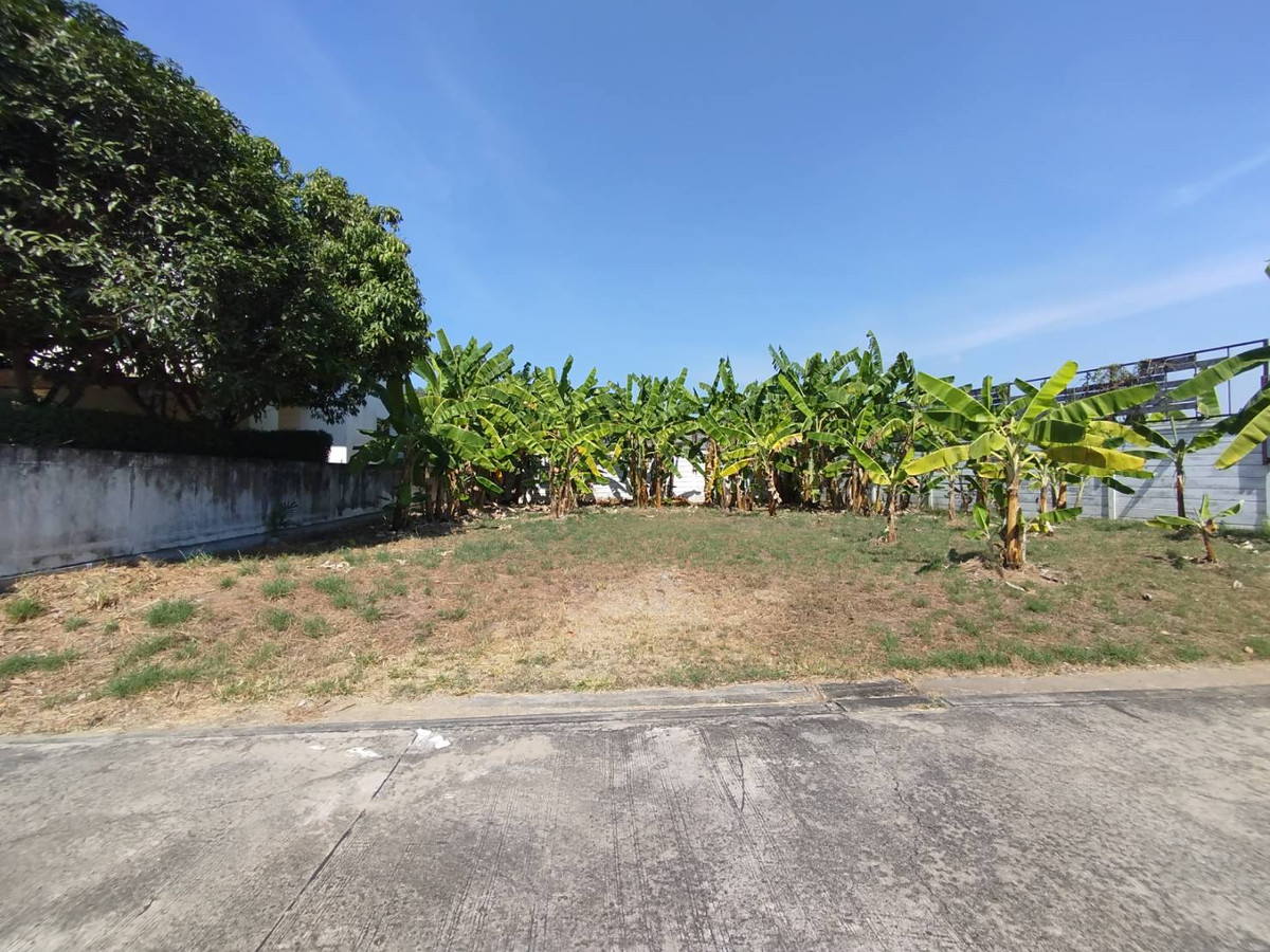 ขายที่ดินปิ่นเกล้า จรัญสนิทวงศ์ : ขายที่ดินจัดสรร ในหมู่บ้านบุษราคัม พาร์คเลน 112 ตรว.