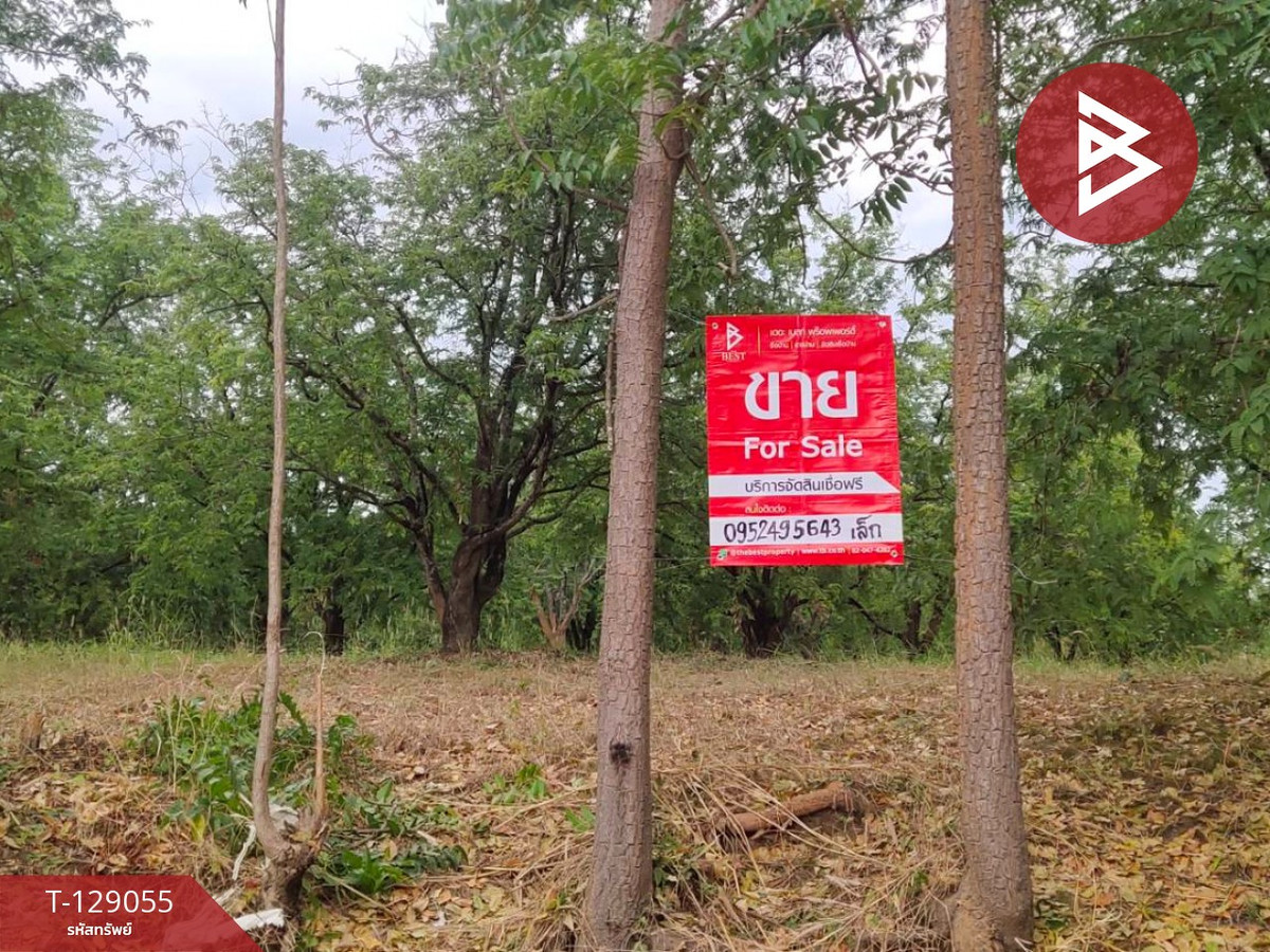 For SaleLandPhetchabun : Land for sale, area 11 rai 2 ngan 76.4 square wah, Lom Sak, Phetchabun.
