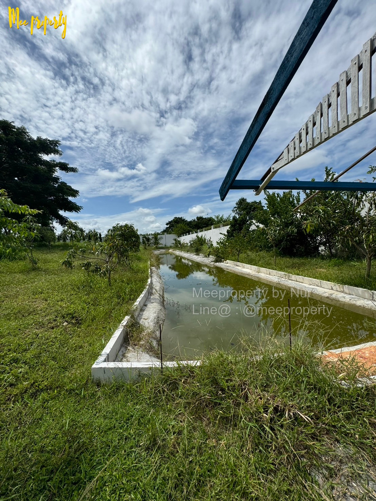 ขายบ้านพัทยา บางแสน ชลบุรี สัตหีบ : 🎉 #ขายบ้านหรูพัทยา #บางละมุง #ชลบุรี  เนื้อที่ 6 ไร่ 1 งาน 72 ตร.ว.🎉ตำบล โป่ง อำเภอบางละมุง ชลบุรี  ME-226