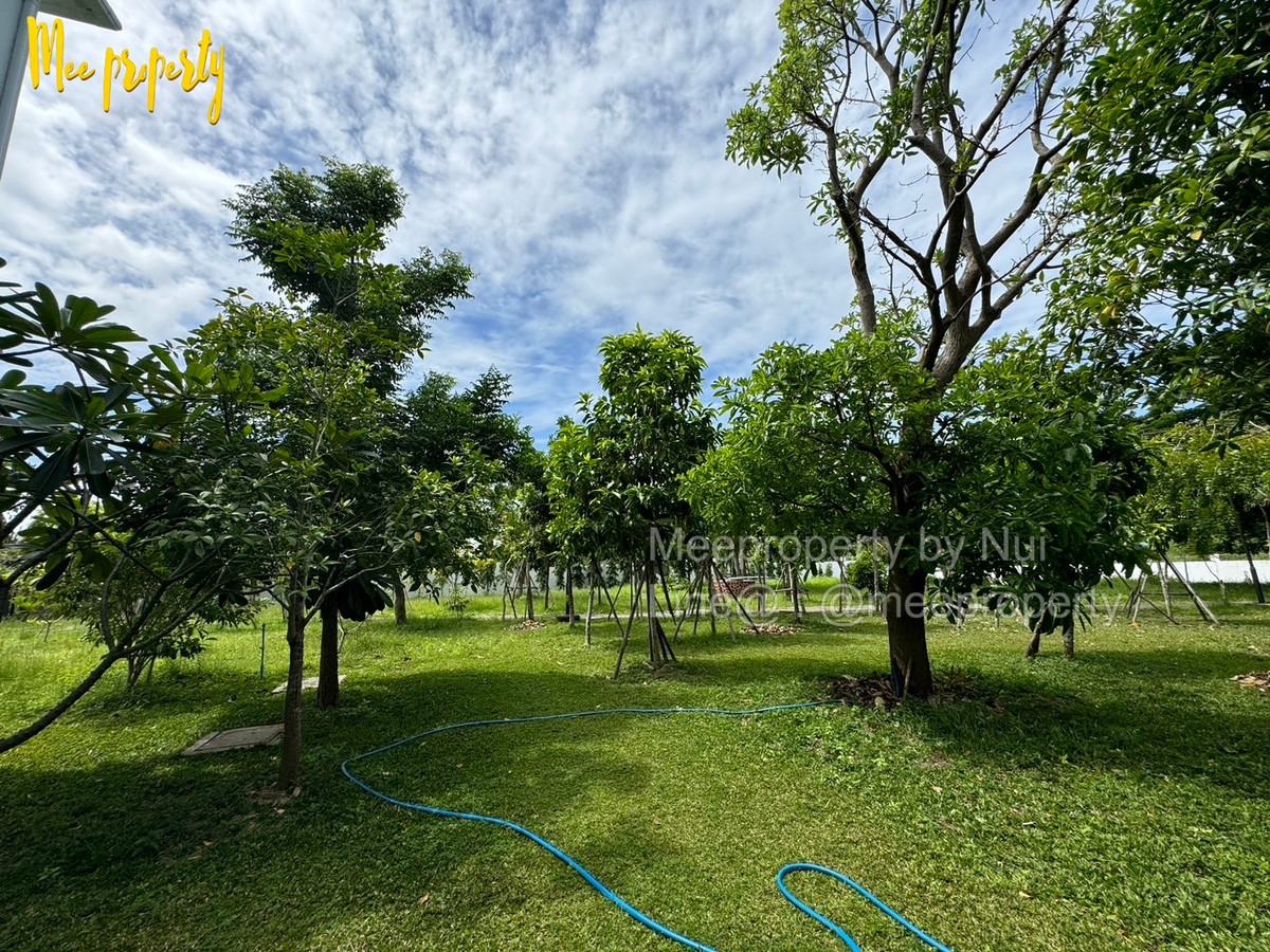 ขายบ้านพัทยา บางแสน ชลบุรี สัตหีบ : 🎉 #ขายบ้านหรูพัทยา #บางละมุง #ชลบุรี  เนื้อที่ 6 ไร่ 1 งาน 72 ตร.ว.🎉ตำบล โป่ง อำเภอบางละมุง ชลบุรี  ME-226