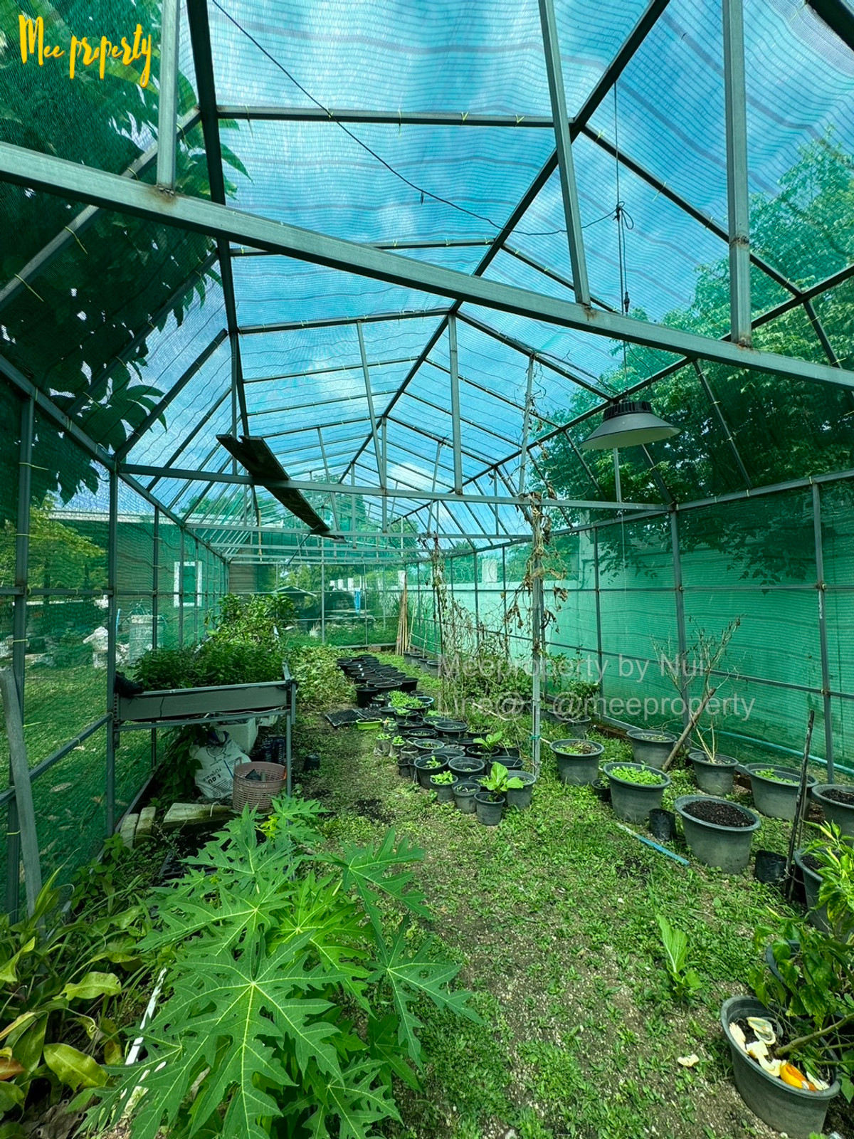 ขายบ้านพัทยา บางแสน ชลบุรี สัตหีบ : 🎉 #ขายบ้านหรูพัทยา #บางละมุง #ชลบุรี  เนื้อที่ 6 ไร่ 1 งาน 72 ตร.ว.🎉ตำบล โป่ง อำเภอบางละมุง ชลบุรี  ME-226