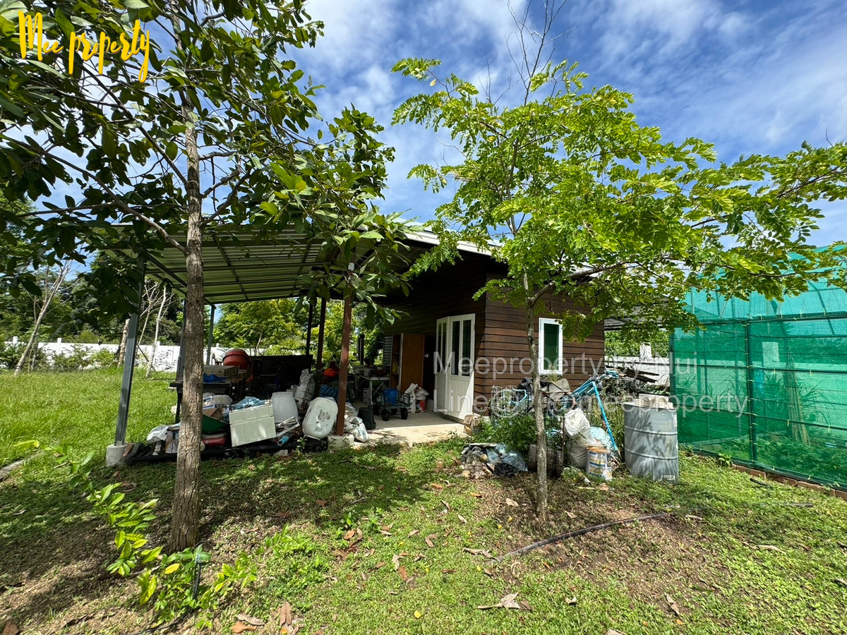 ขายบ้านพัทยา บางแสน ชลบุรี สัตหีบ : 🎉 #ขายบ้านหรูพัทยา #บางละมุง #ชลบุรี  เนื้อที่ 6 ไร่ 1 งาน 72 ตร.ว.🎉ตำบล โป่ง อำเภอบางละมุง ชลบุรี  ME-226