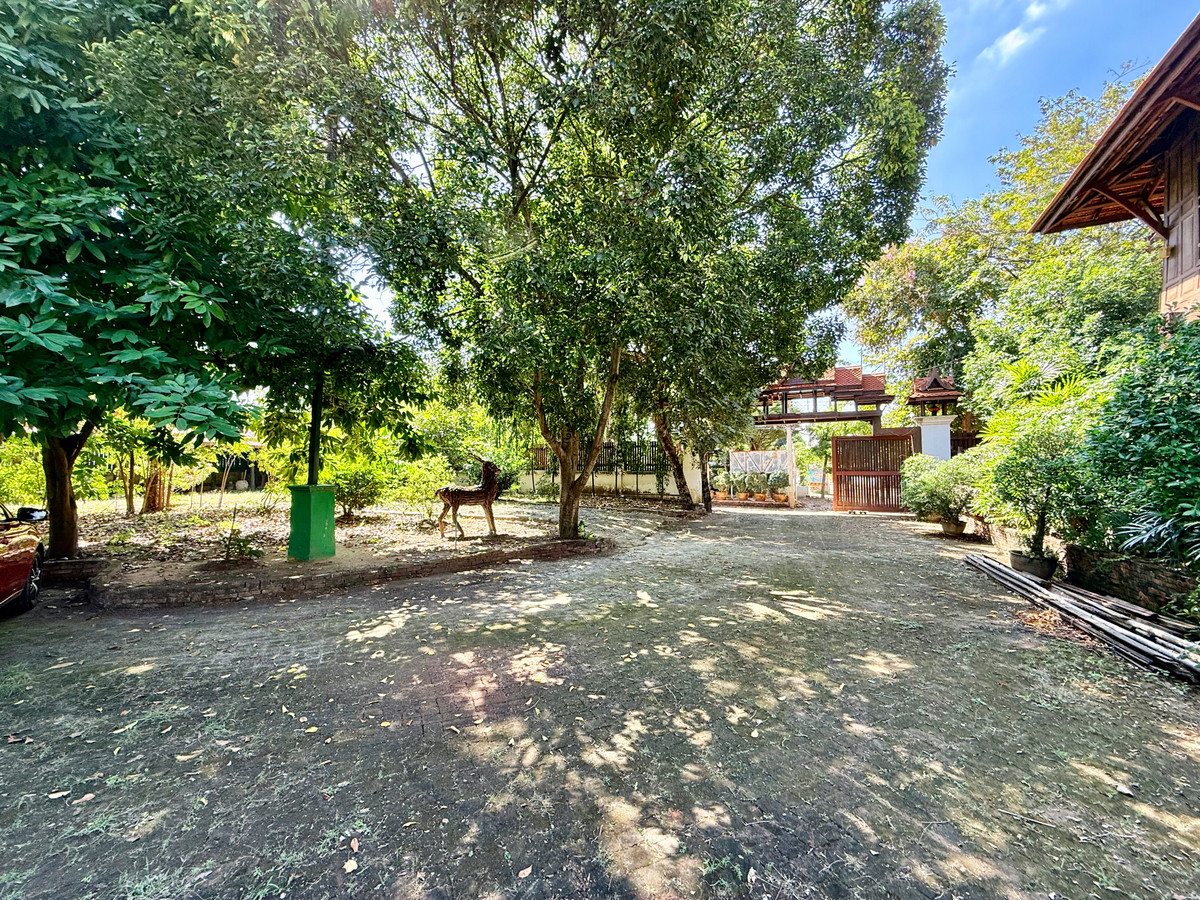 ให้เช่าบ้านอยุธยา : ให้เช่า บ้านทรงไทยริมแม่น้ำเจ้าพระยา อ.เมือง อยุธยา