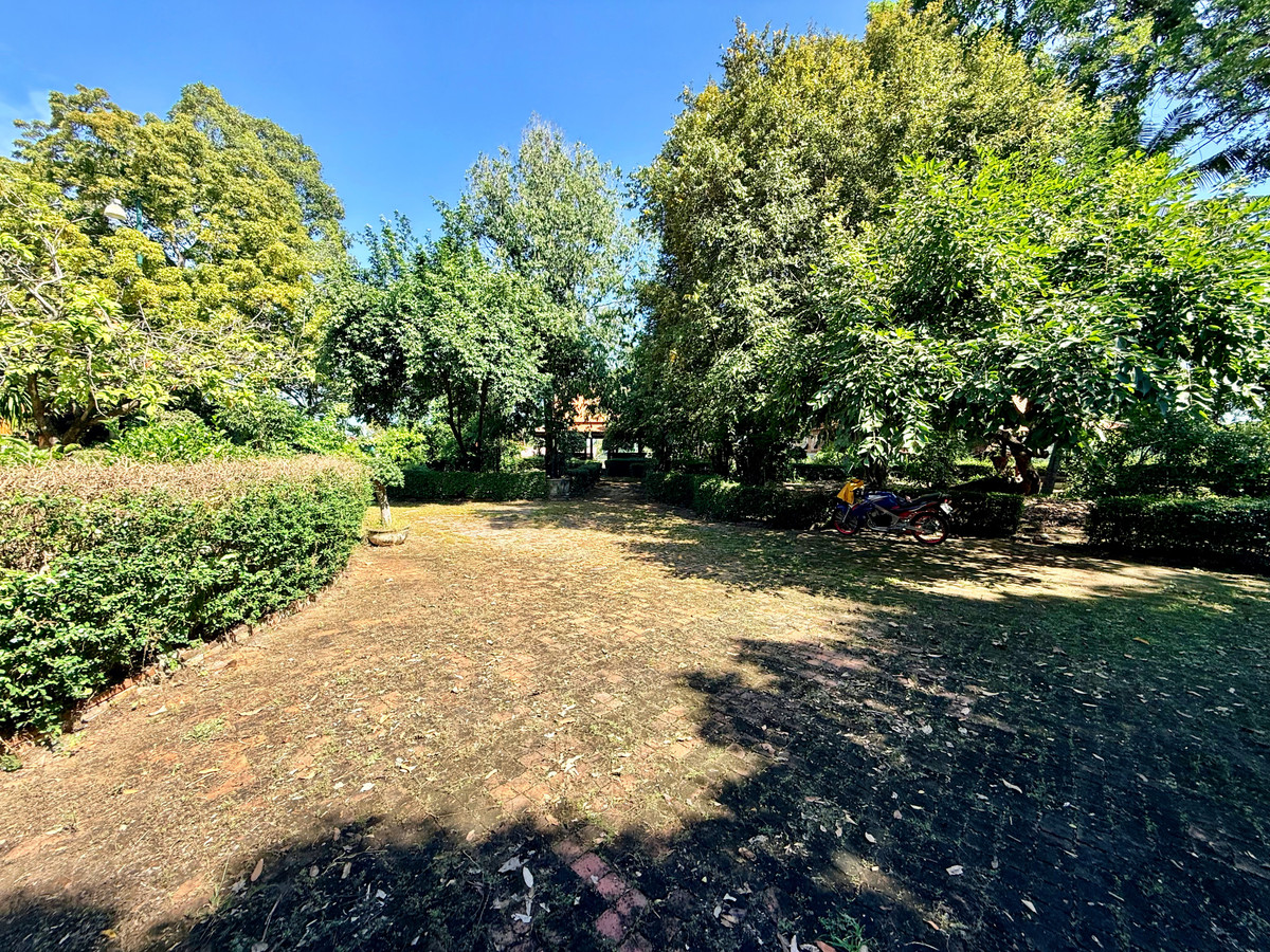 ให้เช่าบ้านอยุธยา : ให้เช่า บ้านทรงไทยริมแม่น้ำเจ้าพระยา อ.เมือง อยุธยา