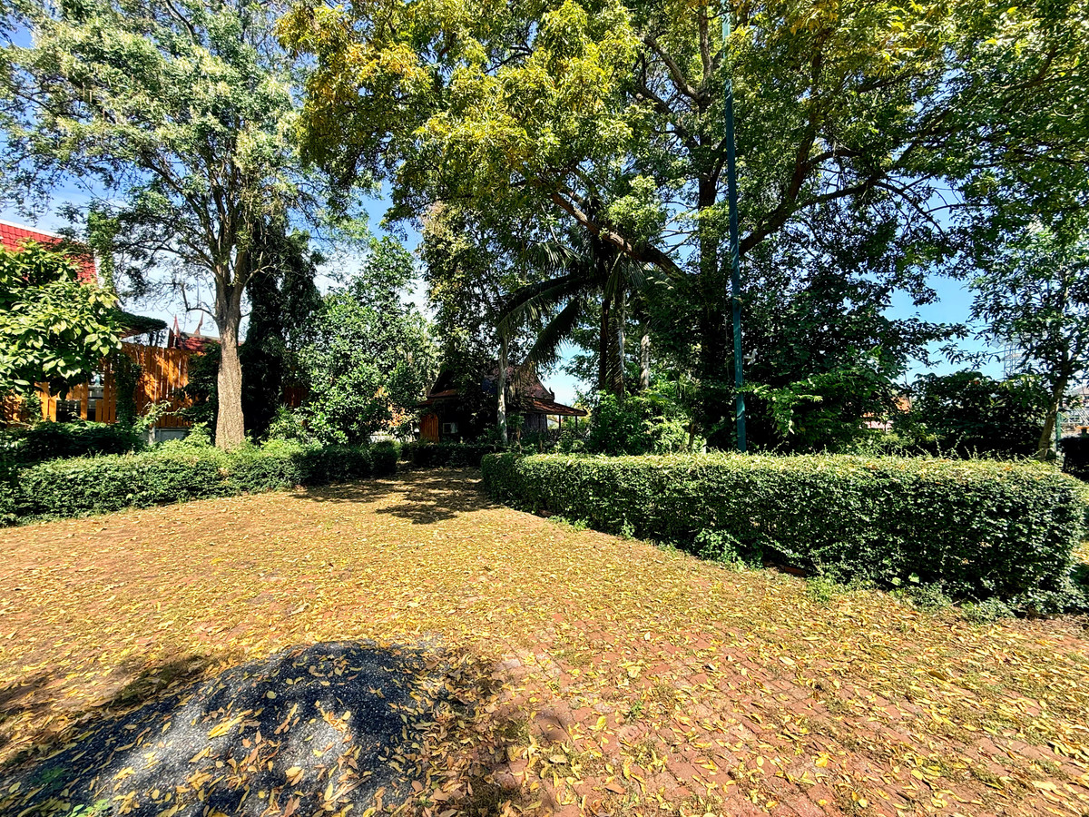 ให้เช่าบ้านอยุธยา : ให้เช่า บ้านทรงไทยริมแม่น้ำเจ้าพระยา อ.เมือง อยุธยา