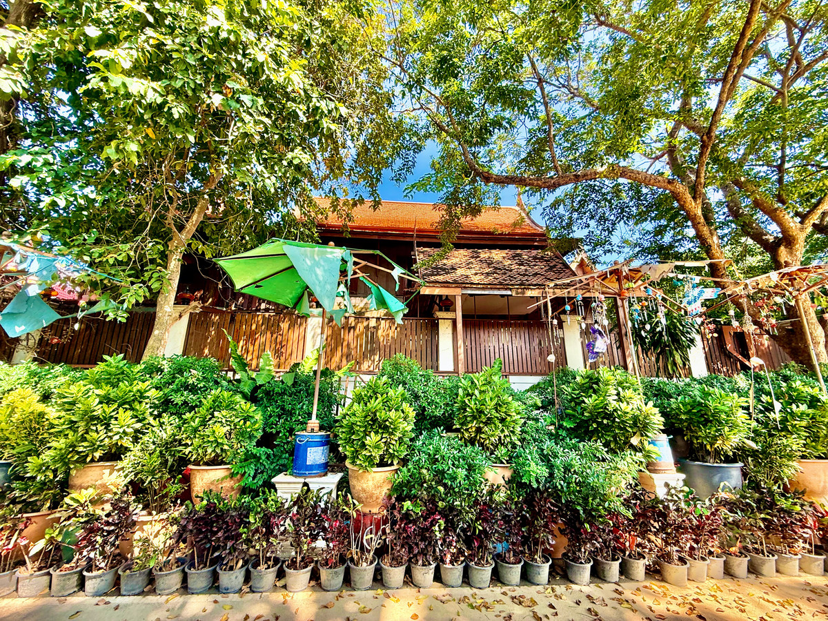 ให้เช่าบ้านอยุธยา : ให้เช่า บ้านทรงไทยริมแม่น้ำเจ้าพระยา อ.เมือง อยุธยา