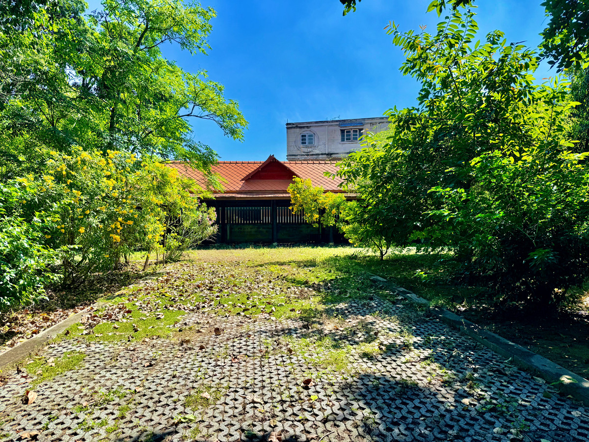 ให้เช่าบ้านอยุธยา : ให้เช่า บ้านทรงไทยริมแม่น้ำเจ้าพระยา อ.เมือง อยุธยา