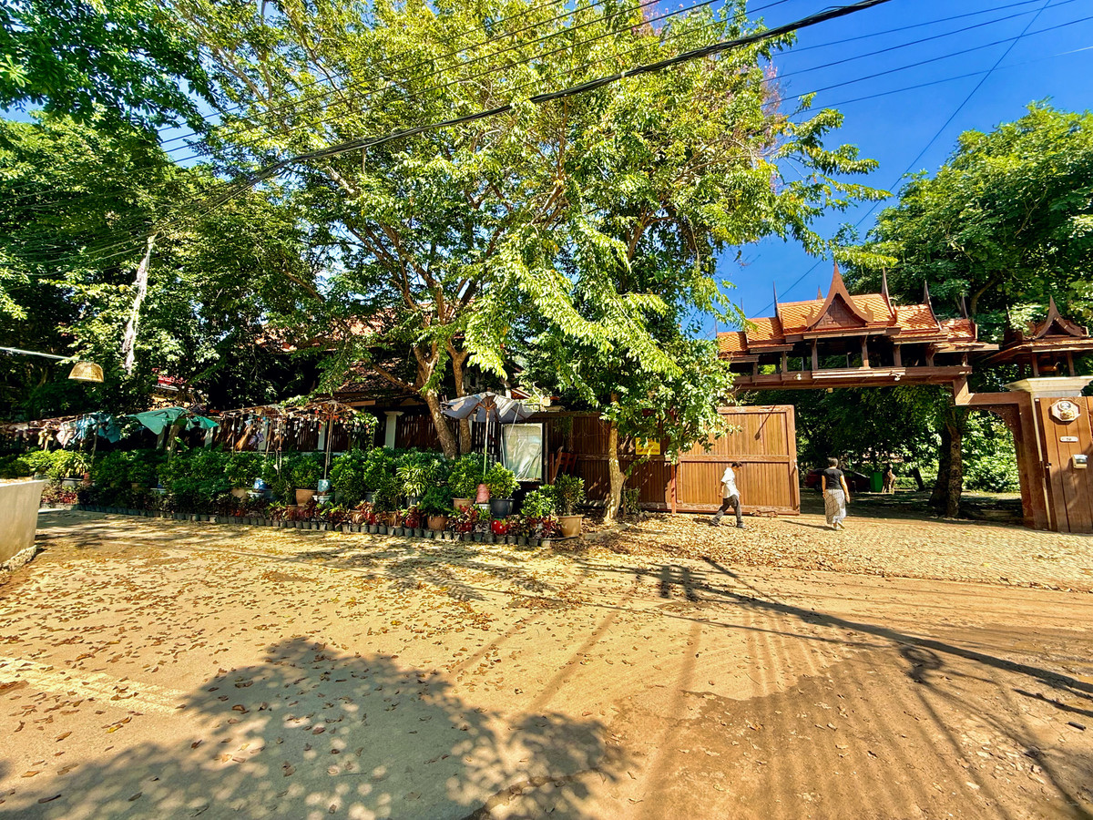 ให้เช่าบ้านอยุธยา : ให้เช่า บ้านทรงไทยริมแม่น้ำเจ้าพระยา อ.เมือง อยุธยา